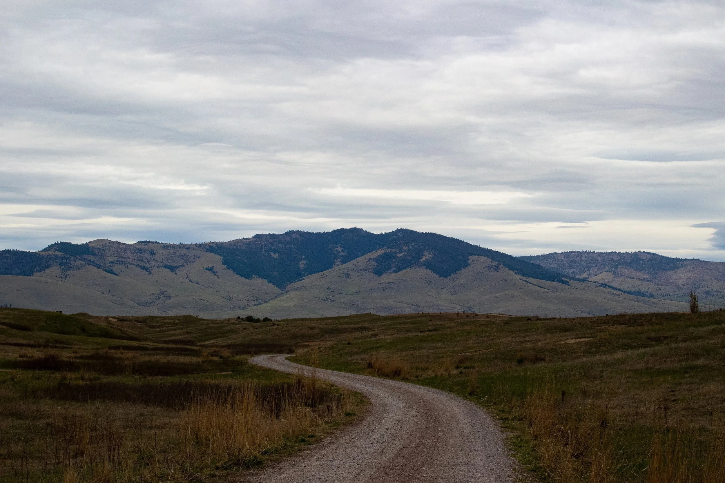 A winding dirt road through a grassy plain with hills in the background and a cloudy sky above.