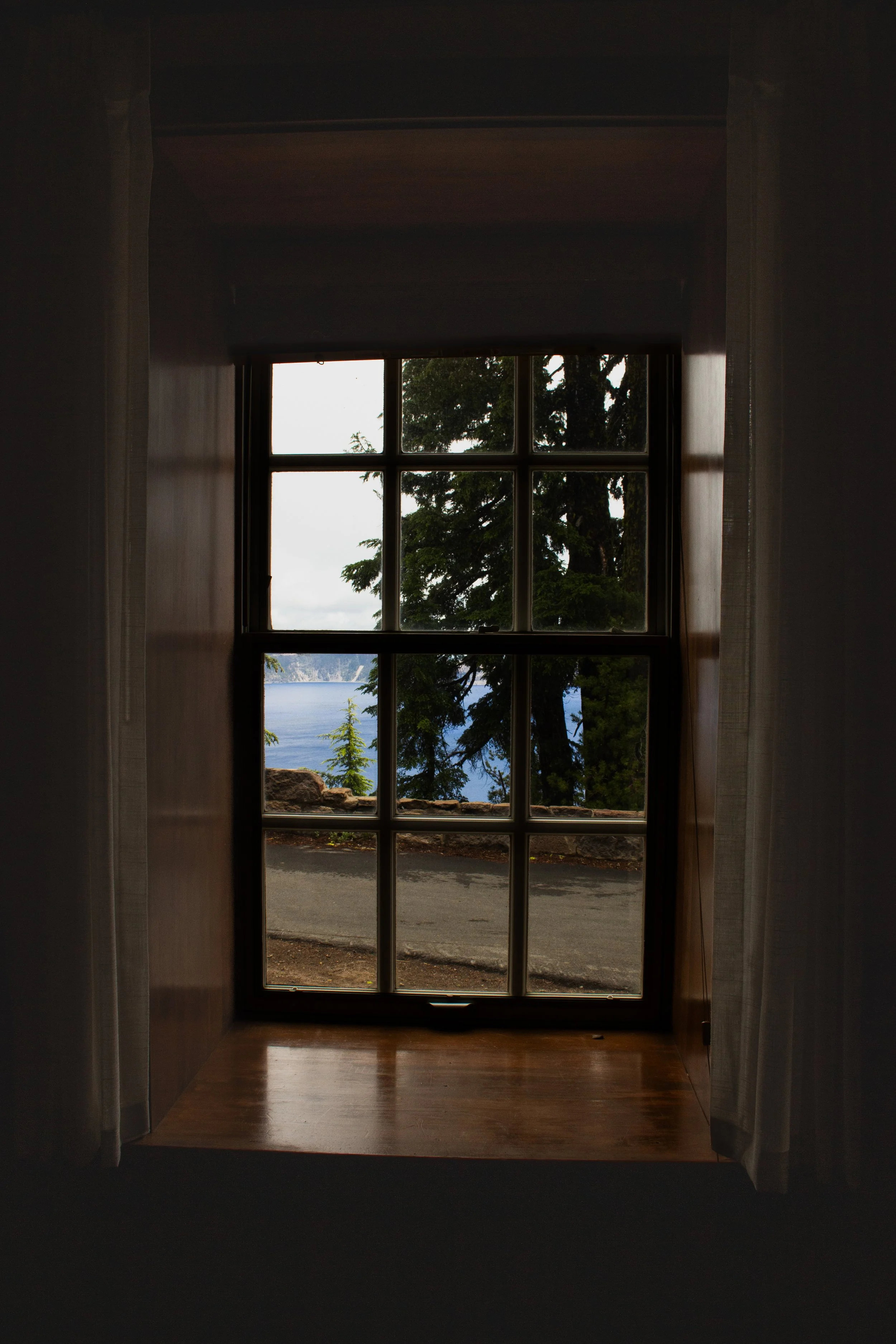 View through a window showing a tree, water, and distant land, taken from inside a dark room.