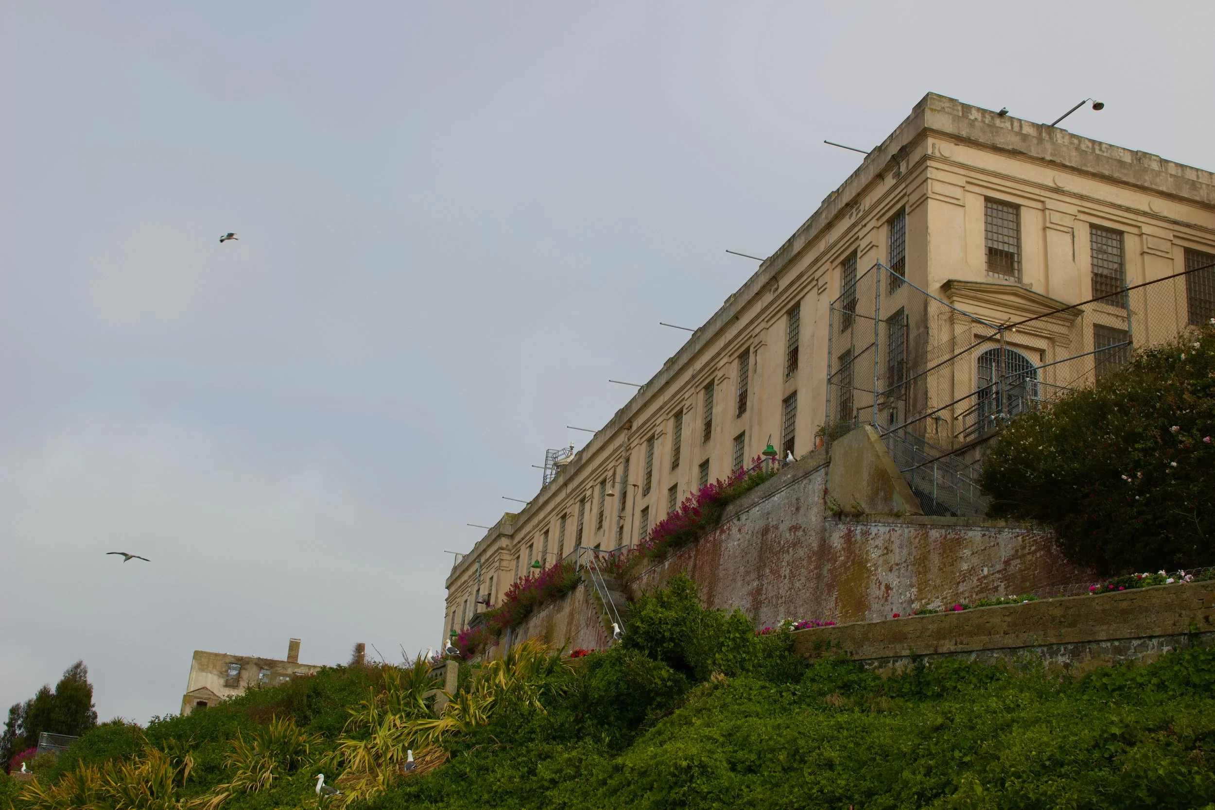 A historic building atop a hill with lush greenery and pink flowers in the foreground. The building has multiple windows with grilles and balconies, and the sky above is overcast with a few seagulls flying.