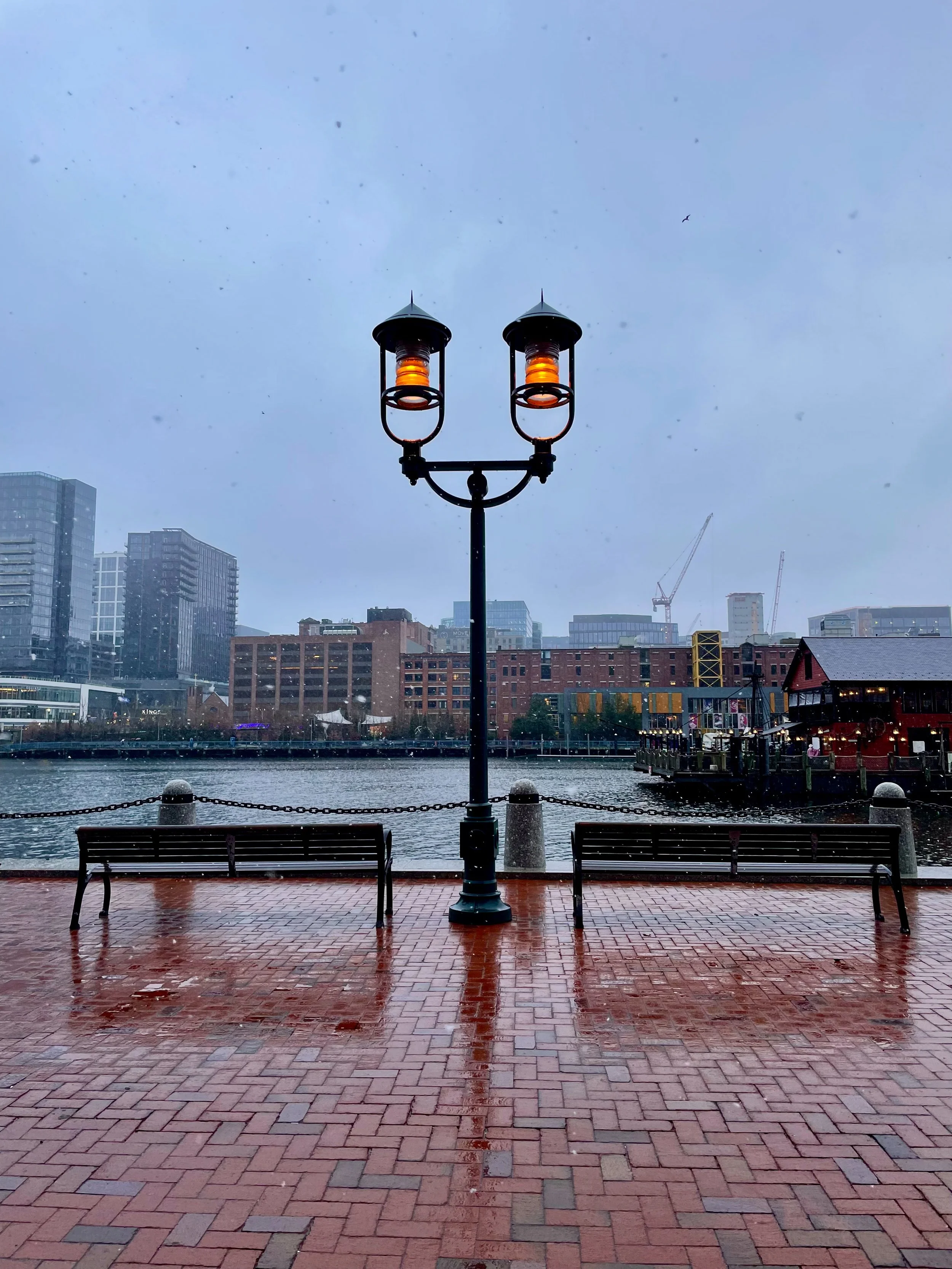 A city waterfront with a double-headed streetlamp in the foreground, benches on a brick-paved promenade, buildings, cranes, and a cloudy sky with rain visible in the background.