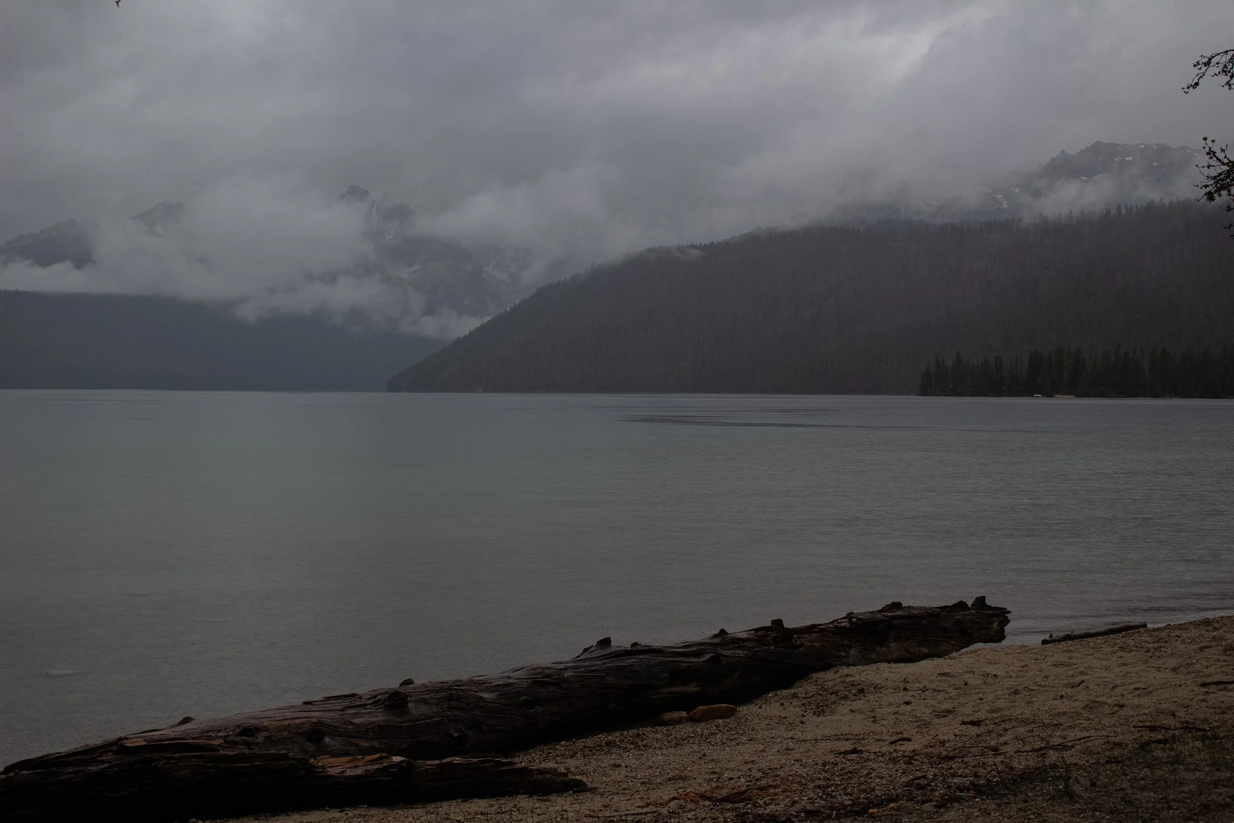 A misty mountain lake scene with dark water, forested shoreline, and fog-covered mountains in the background.