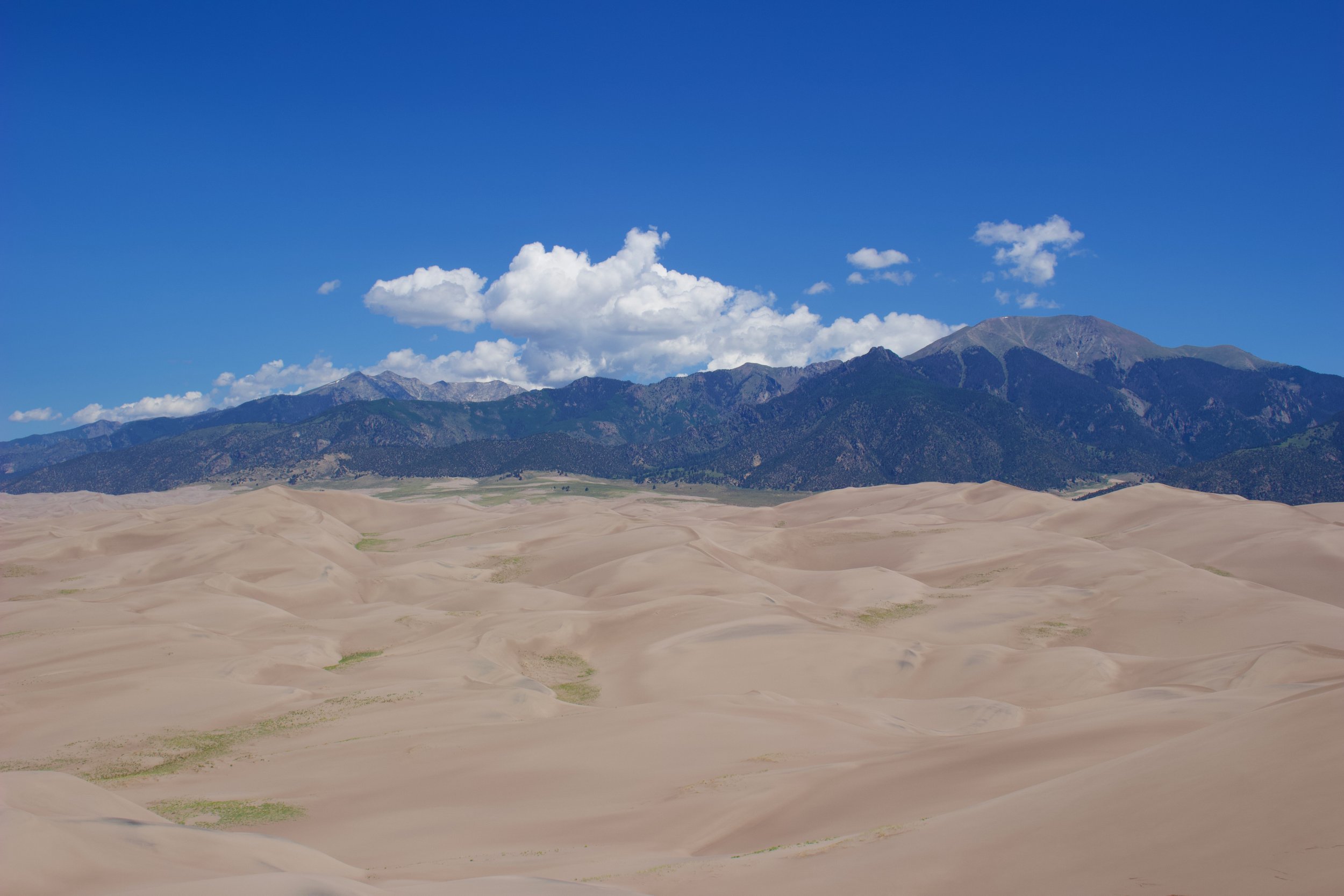 A landscape with sandy dunes in the foreground, a wooded mountain range in the background, and a bright blue sky with white clouds.