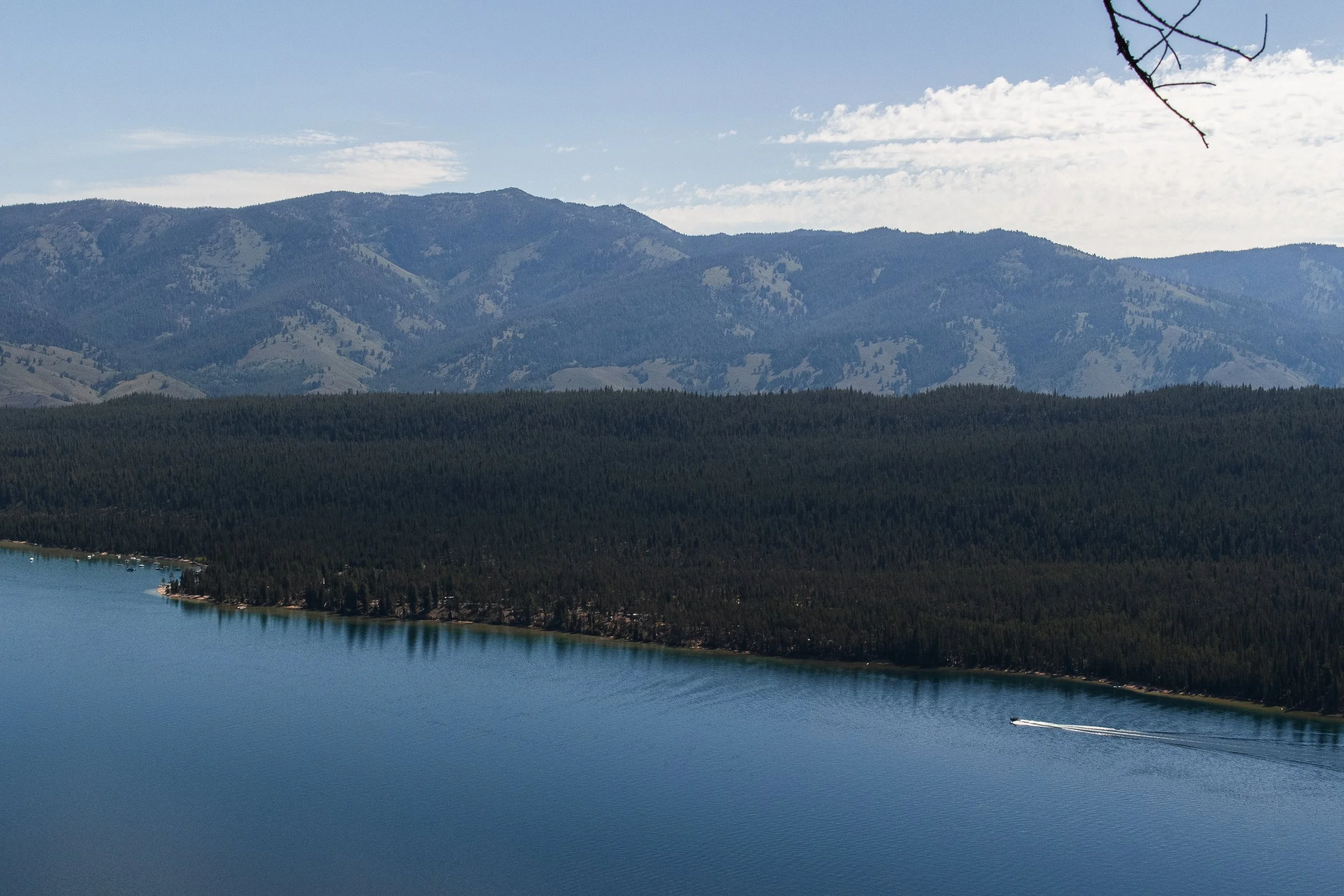 A scenic view of a large body of water with a boat speeding through it, surrounded by lush green forests and rugged mountains under a partly cloudy sky.