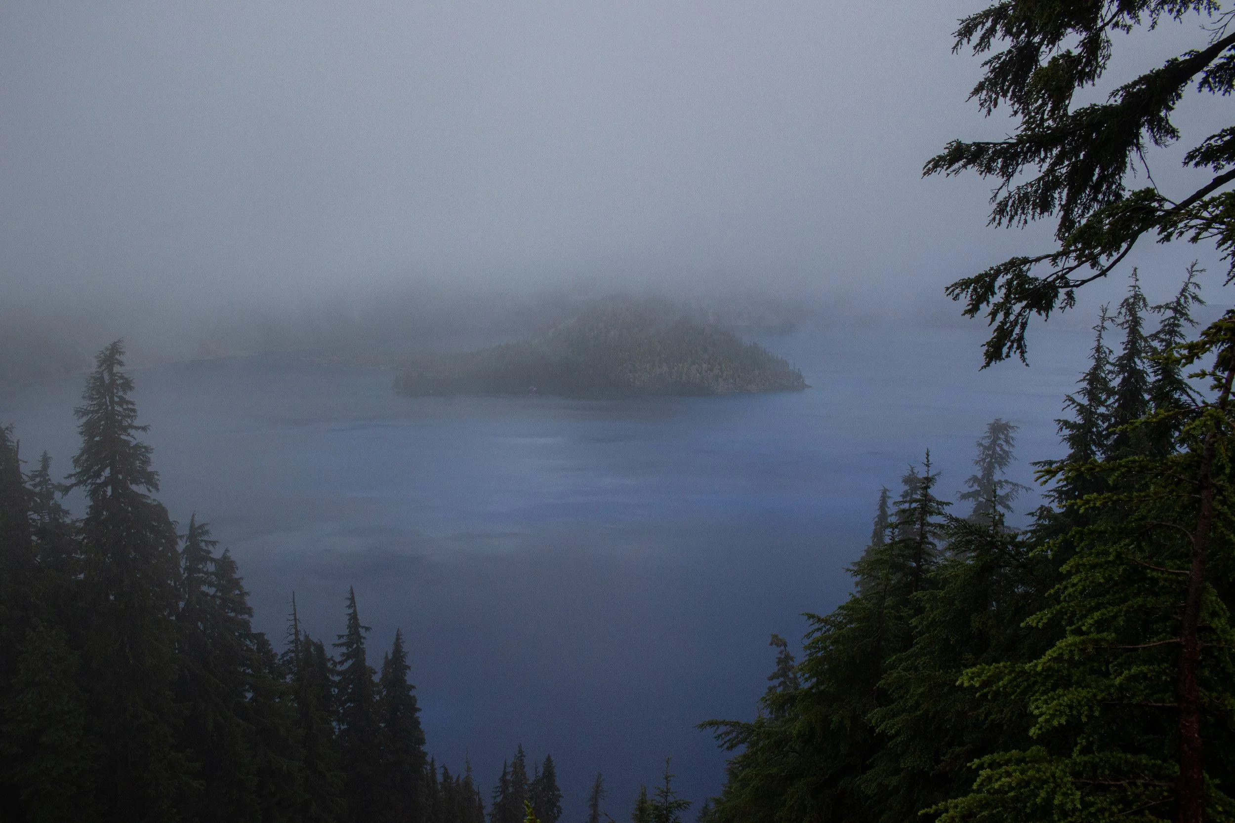 A misty view of a lake with an island in the distance, surrounded by tall pine trees and overcast sky.