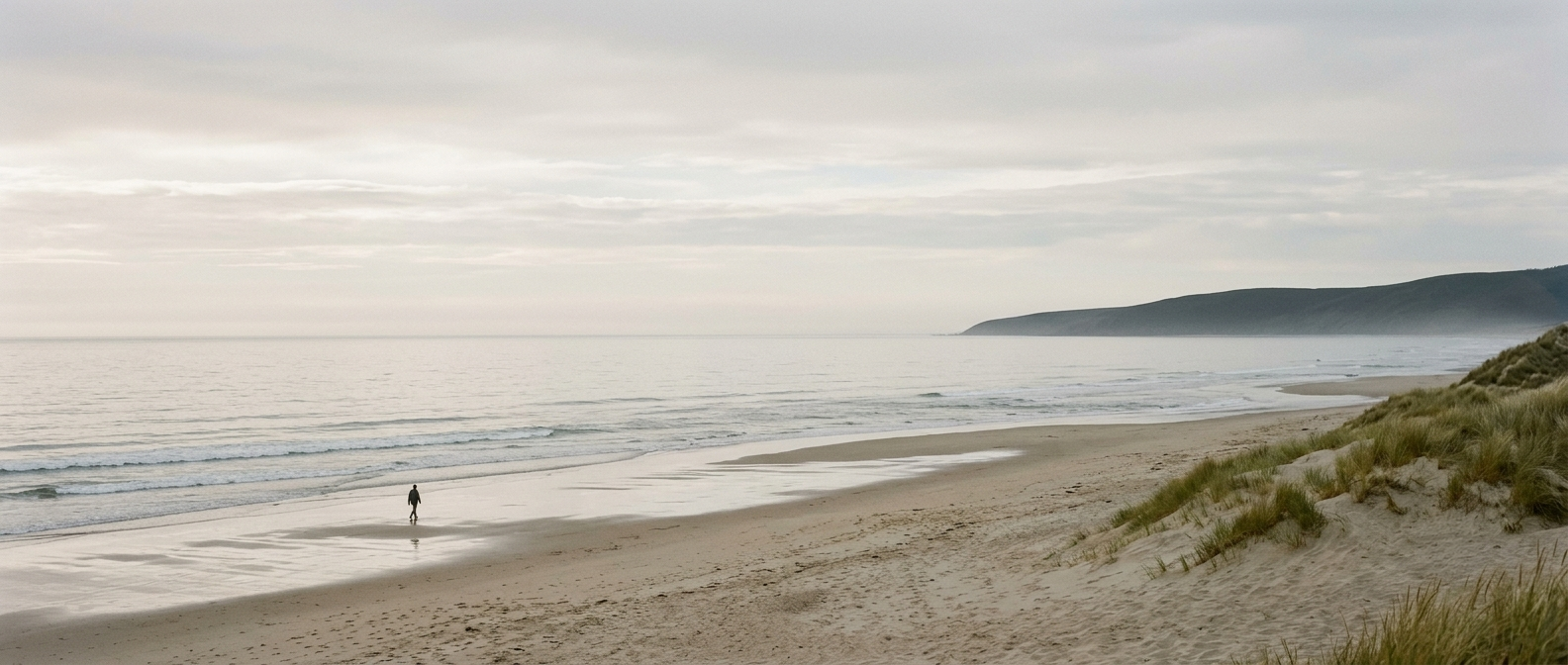 A person walking along a sandy beach with dunes and grass, with calm ocean waters and a distant landmass under an overcast sky.