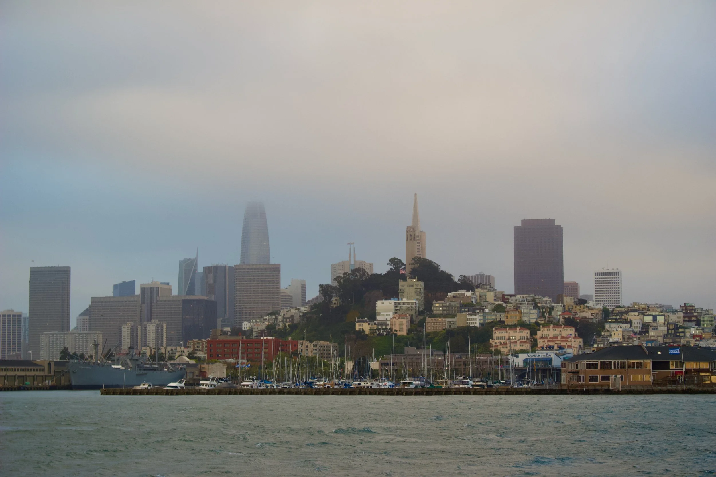 San Francisco skyline with boats docked at a marina, fog covering tall buildings, including Salesforce Tower, and a hillside with houses in the foreground.