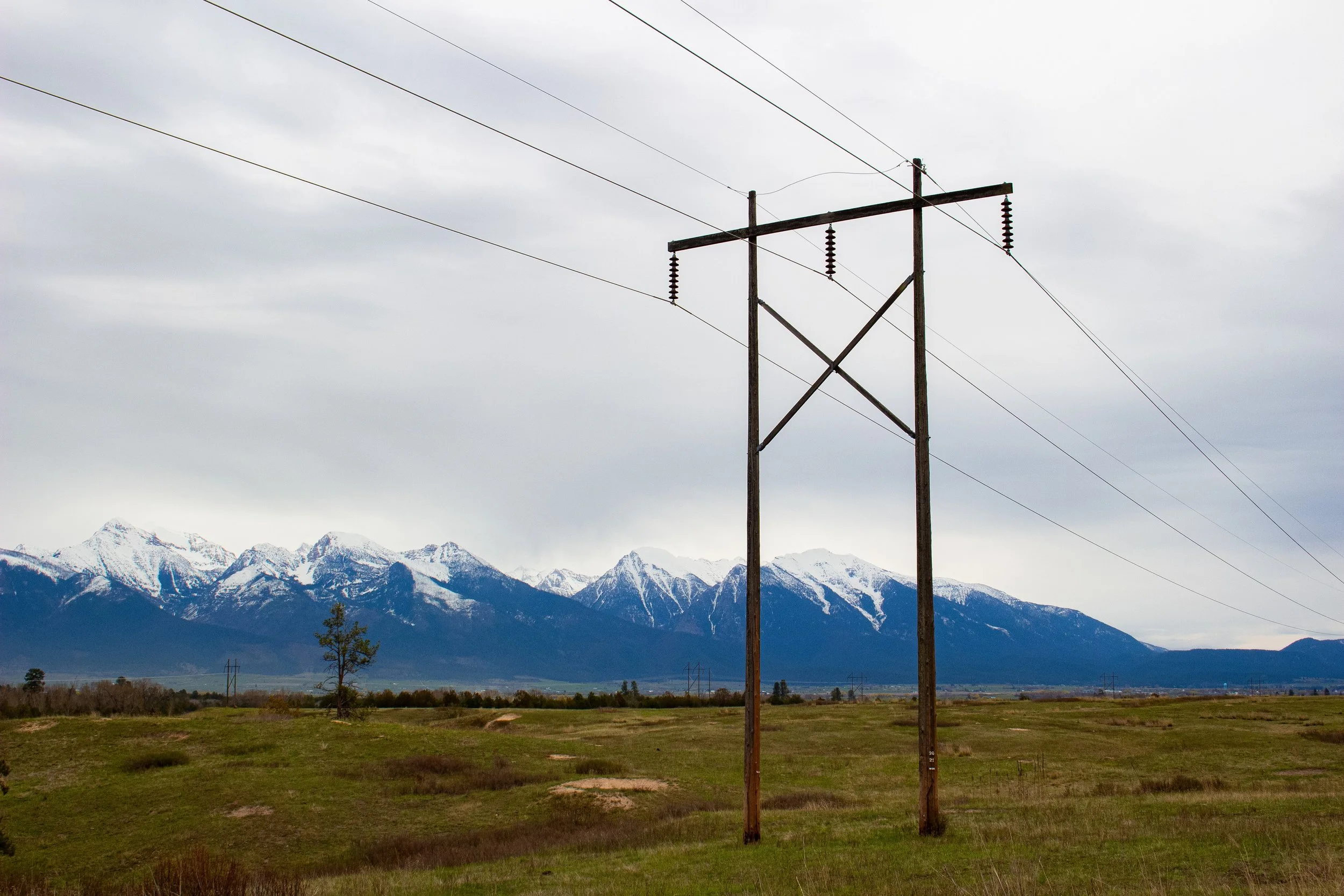 A power line pole with multiple electrical insulators stands in a grassy field, with snow-capped mountains in the background under an overcast sky.
