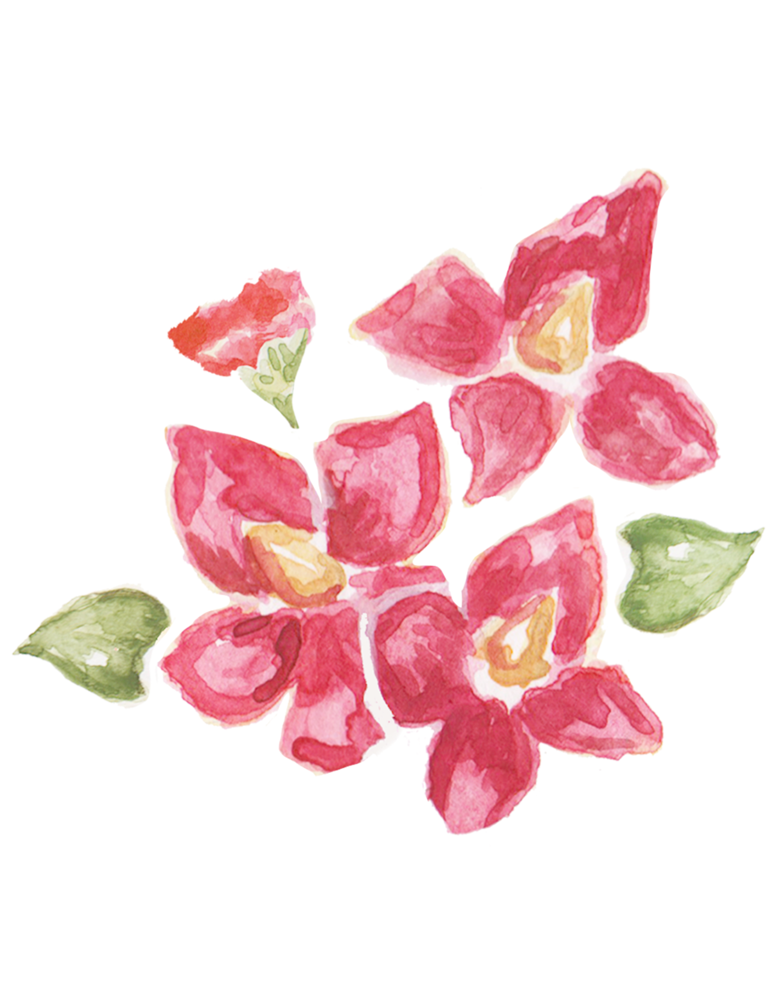 Watercolor illustration of assorted sliced meats and greens, including ham, salami, and leafy lettuce.