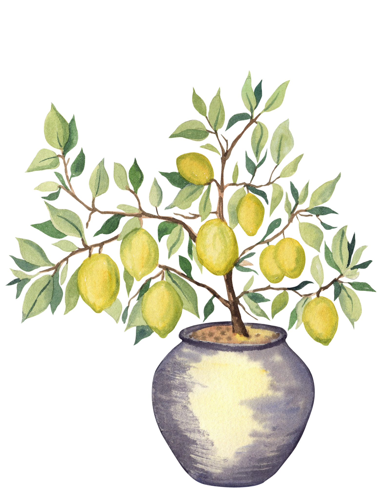Watercolor painting of a lemon tree in a clay pot with green leaves and yellow lemons and a ceramic vase with a yellow hue
