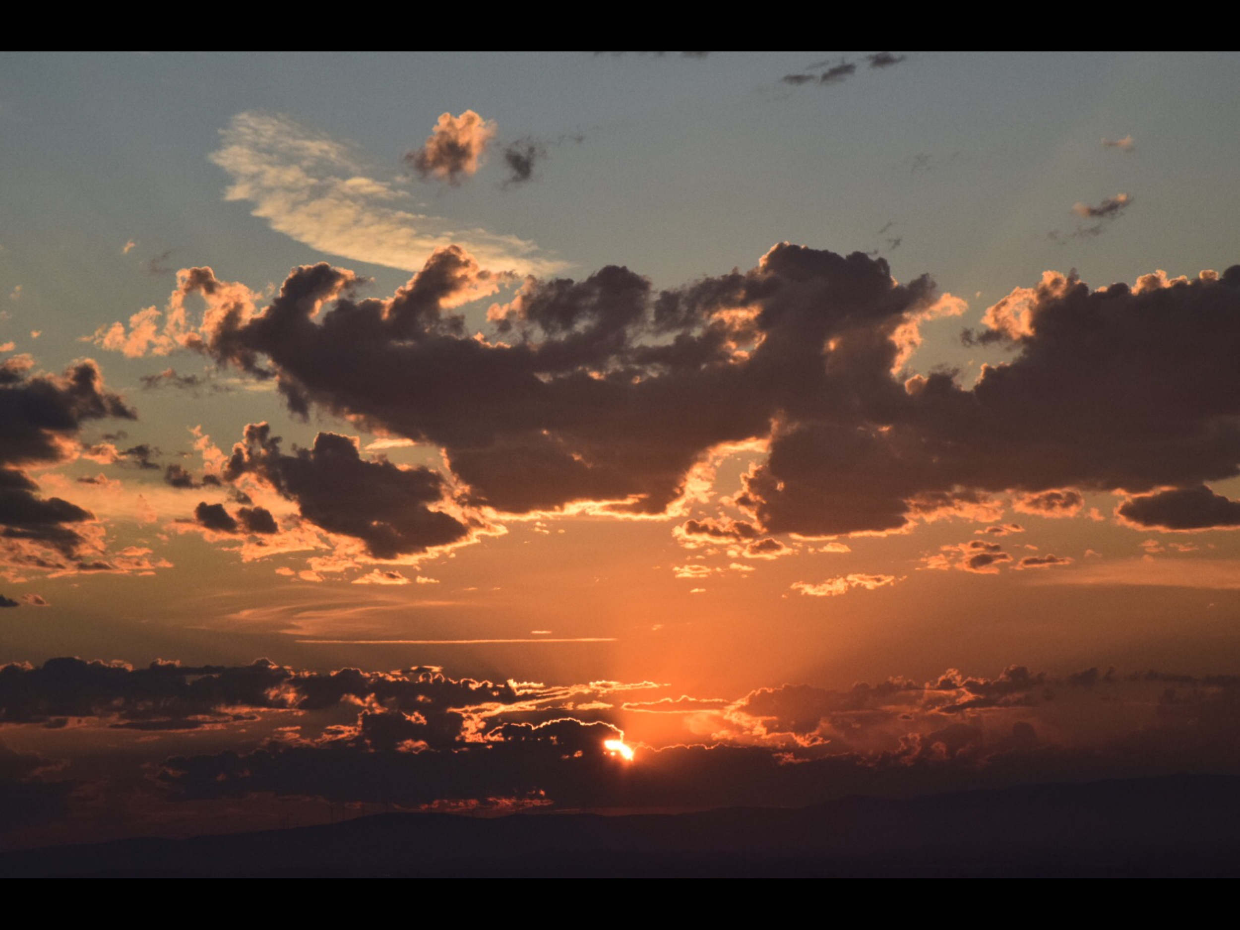 IMG_3503.png