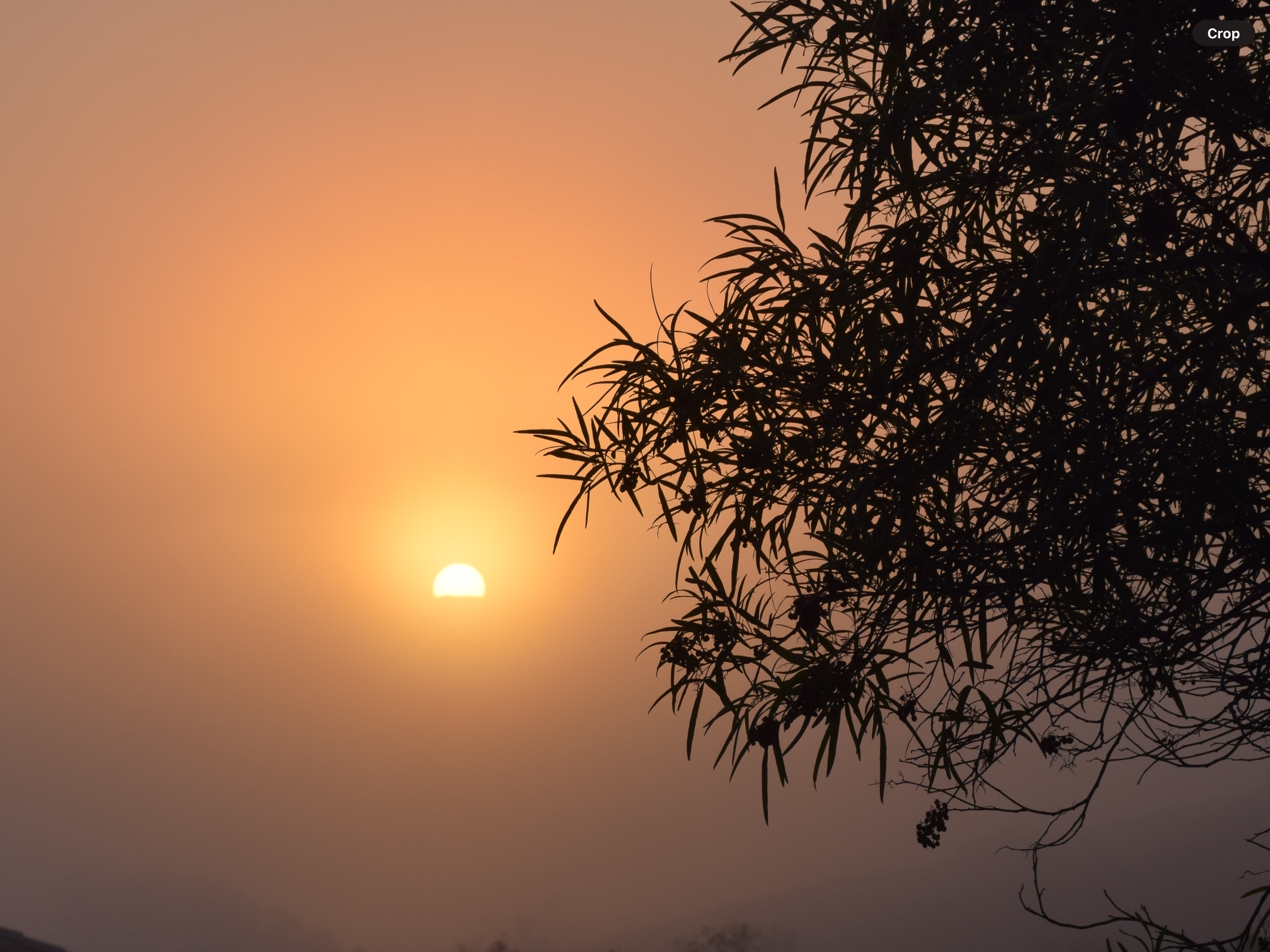 IMG_0898.png