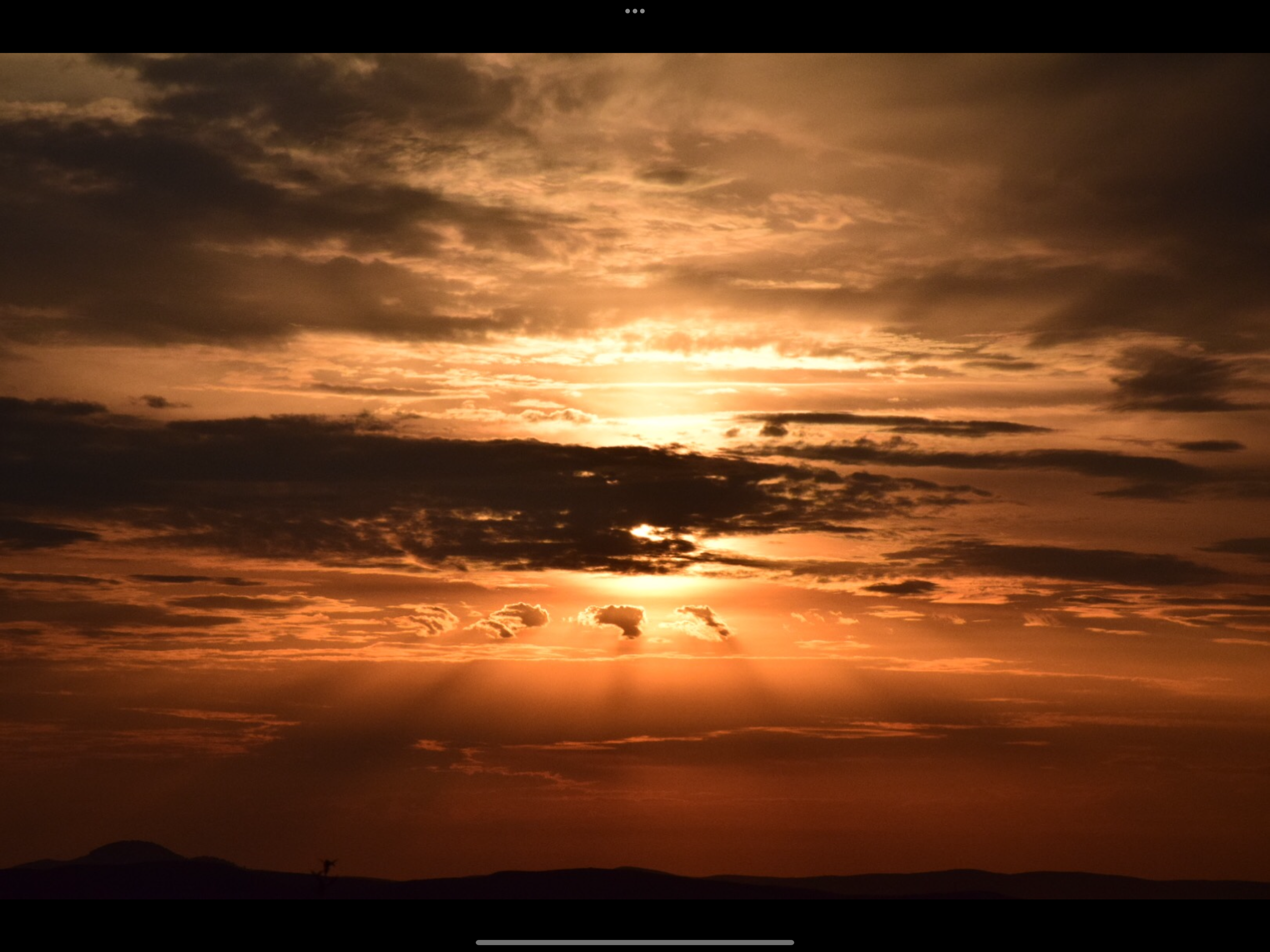 IMG_0867.png