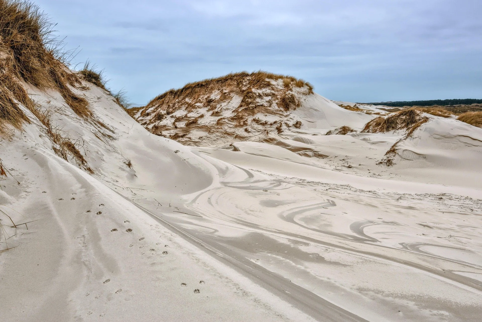peggychoucair-sand-dunes-7825545_1920.jpg