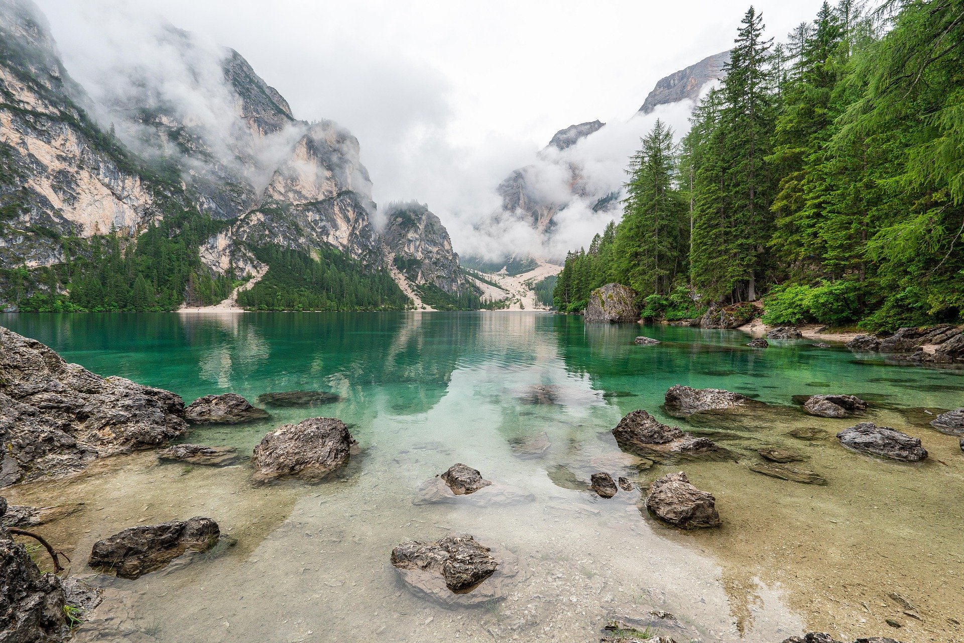 renegossner-water-8100724_1920.jpg