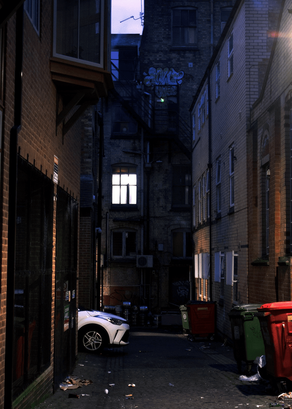 liminal 2.png