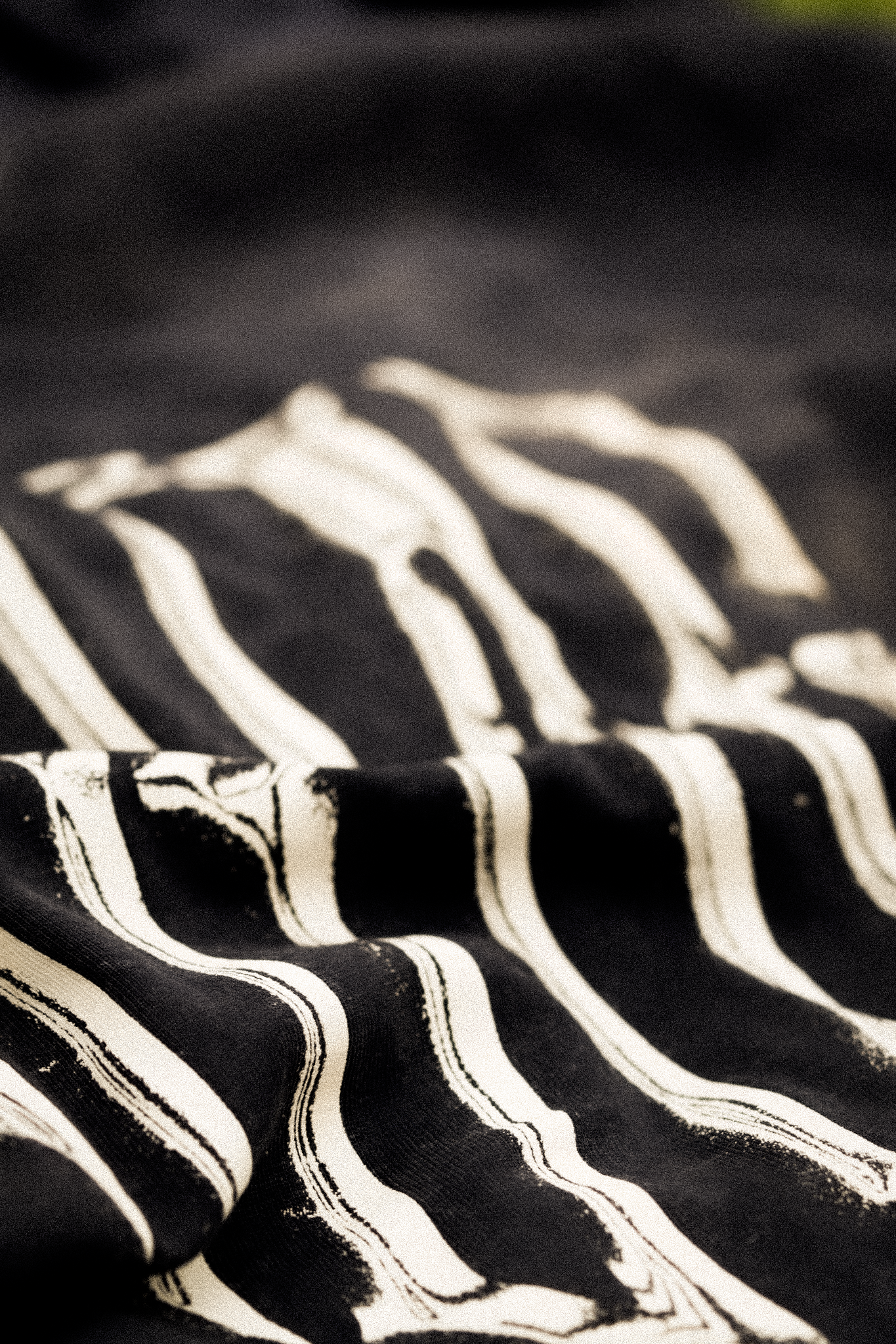 20260524-DSC05970.png