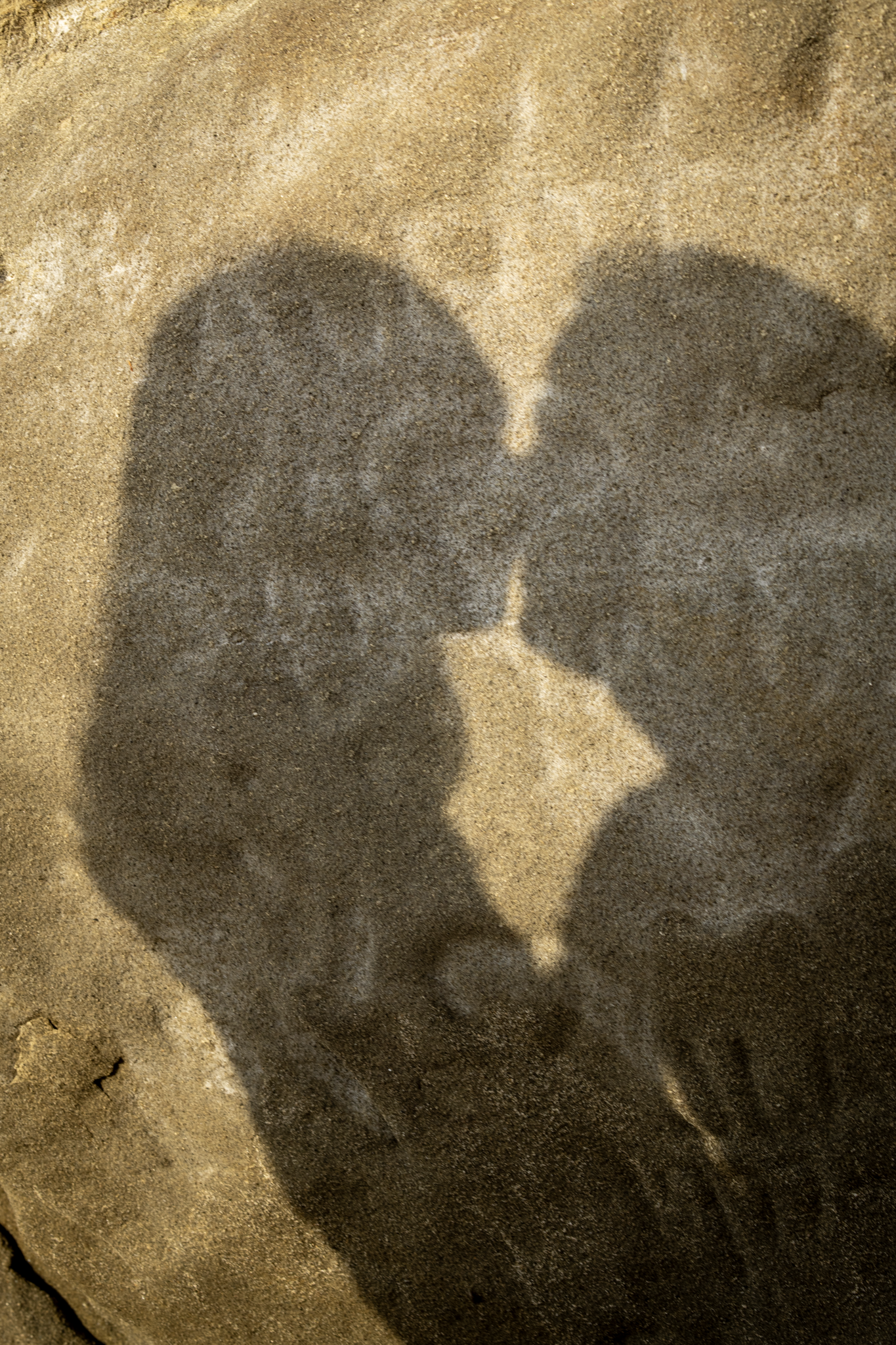 20260606-DSC06641.png