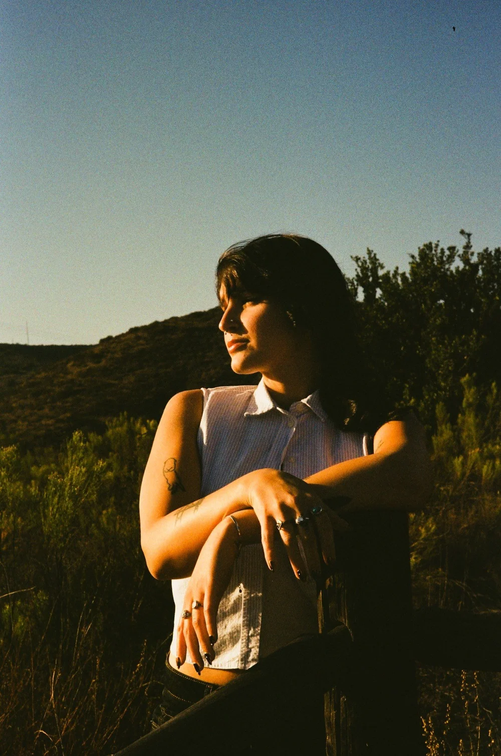 Laurel sitting in the brush in late light in El Cajon, shot on 35mm film