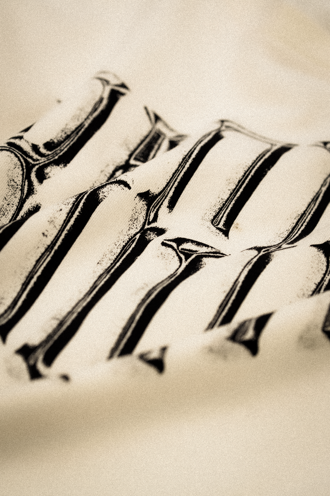 20260524-DSC06032.png