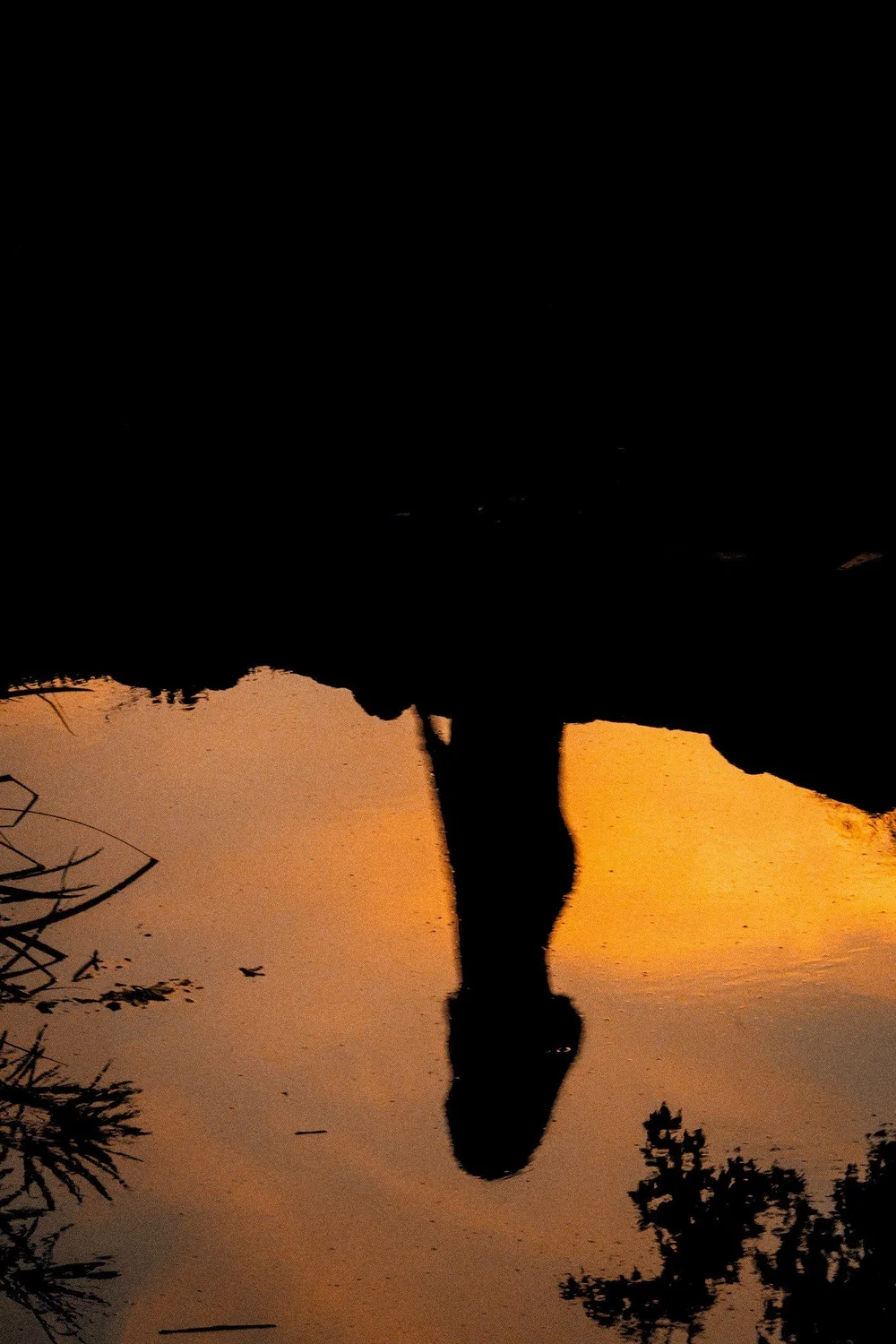 Magaly’s silhouette reflected in water at sunset