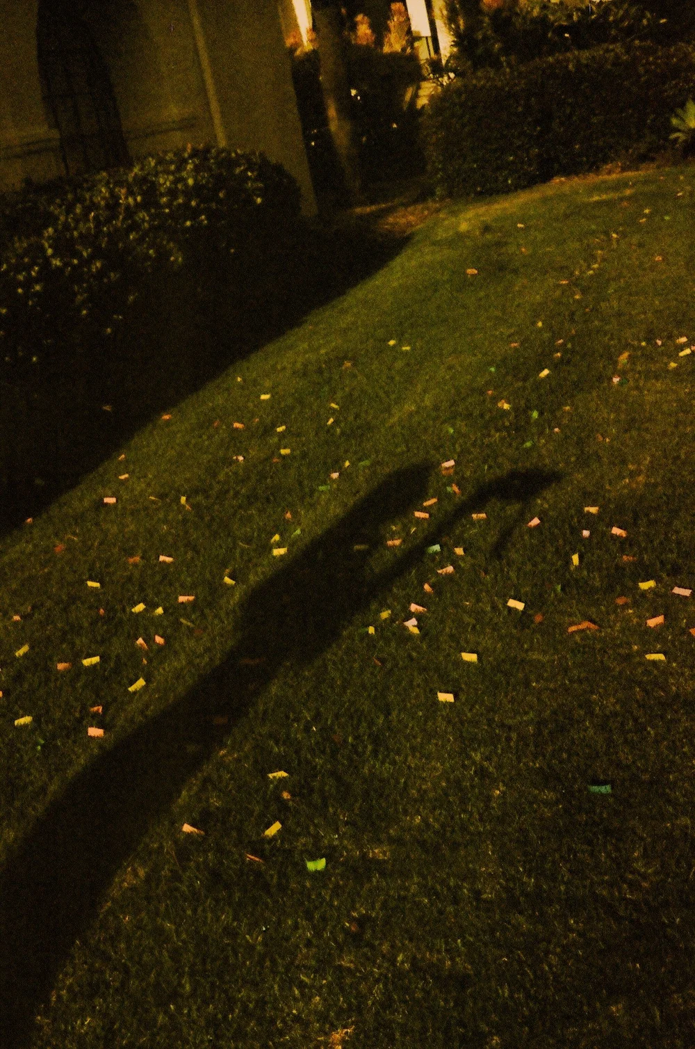 Magaly’s shadow tossing her cap over confetti on the grass, shot on film