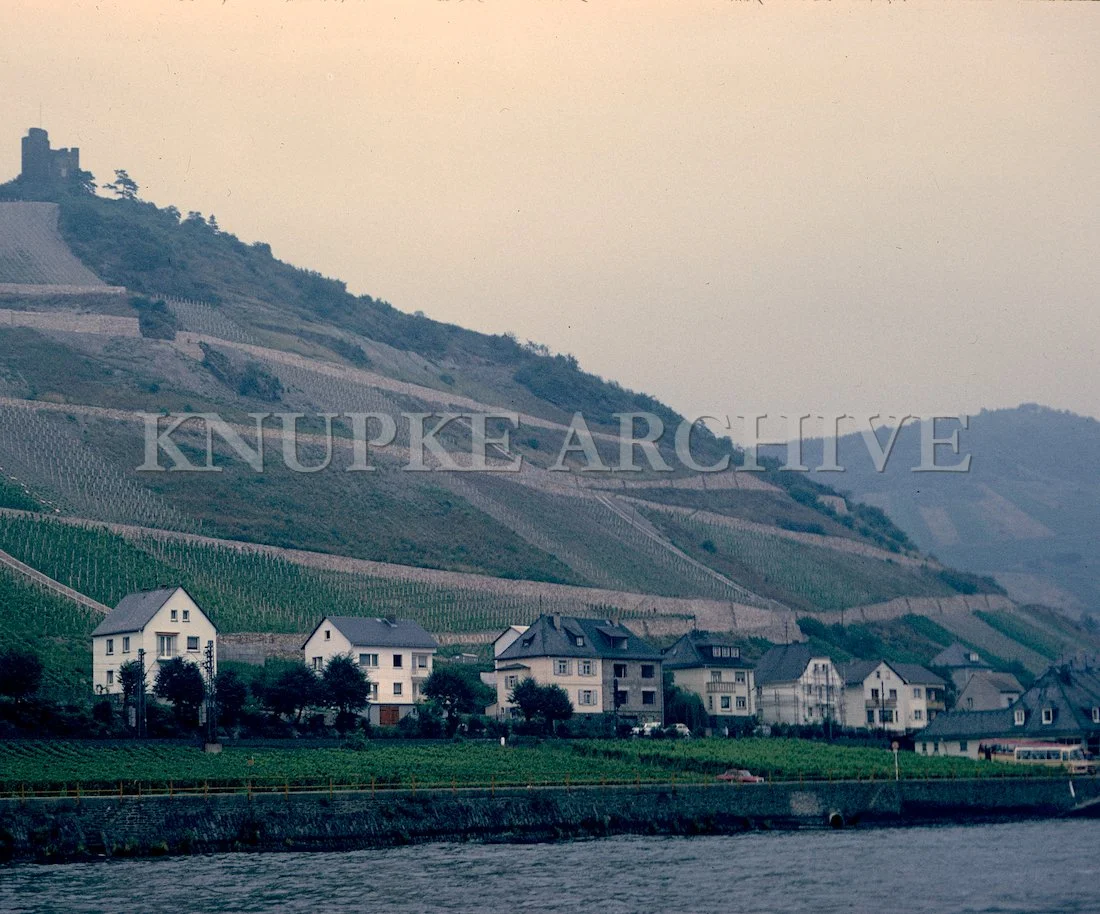Hillside Vineyards Print
