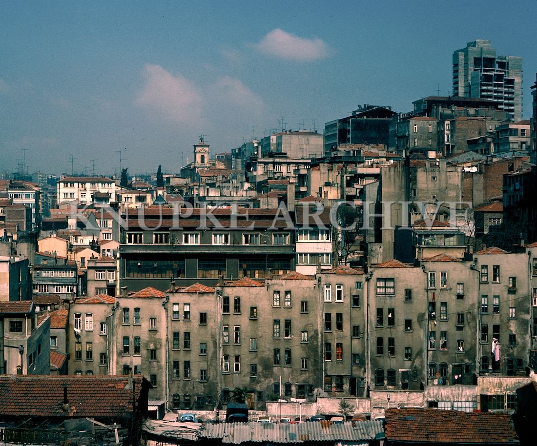 turkey2 (9).jpg