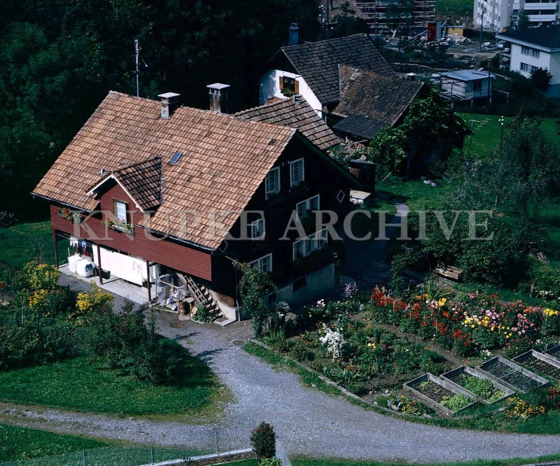 Swiss Chalet Garden Print