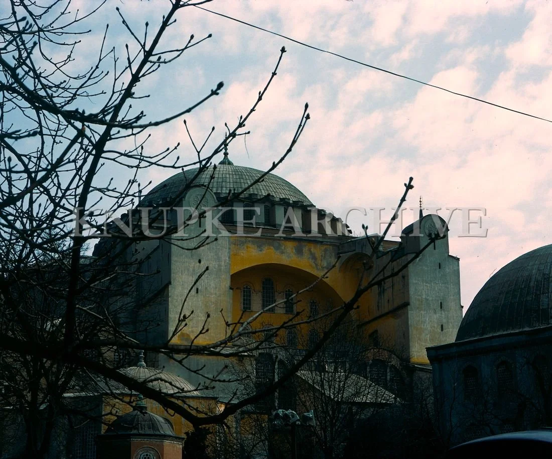 turkey2 (8).jpg