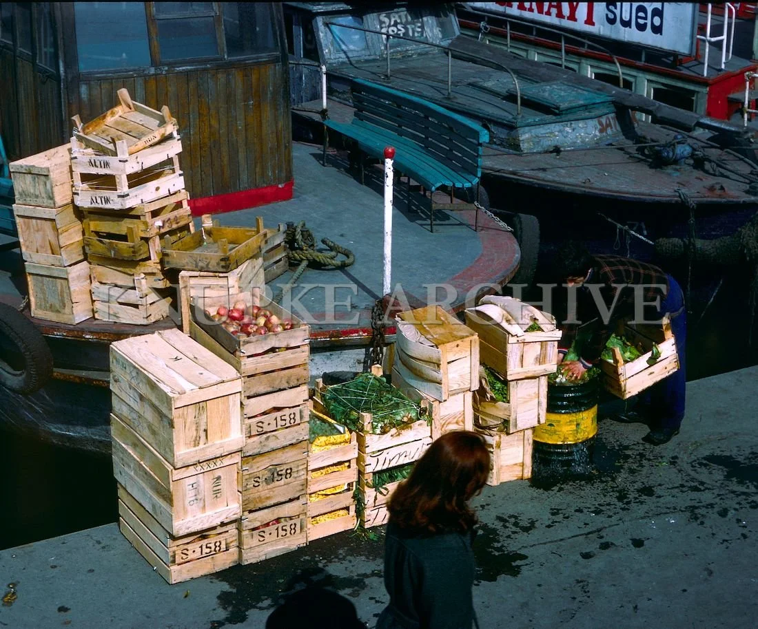turkey2 (12).jpg