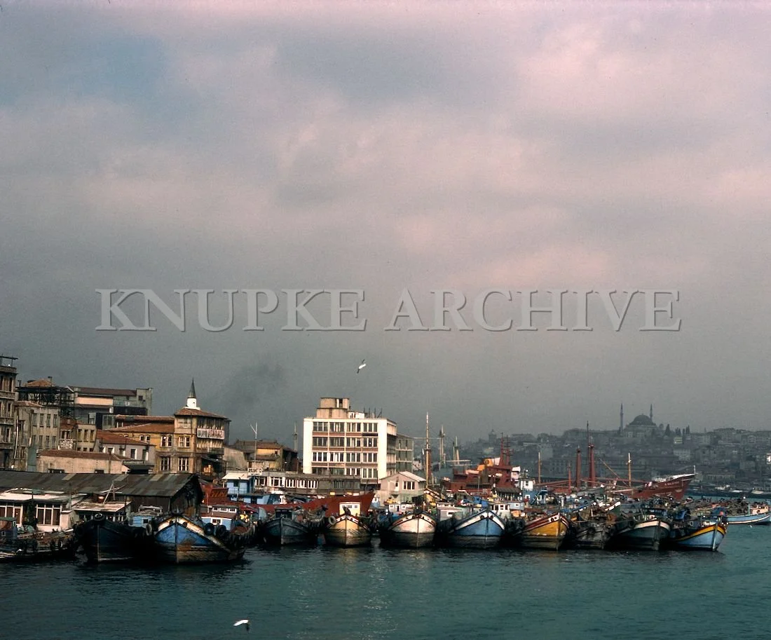 turkey2 (5).jpg