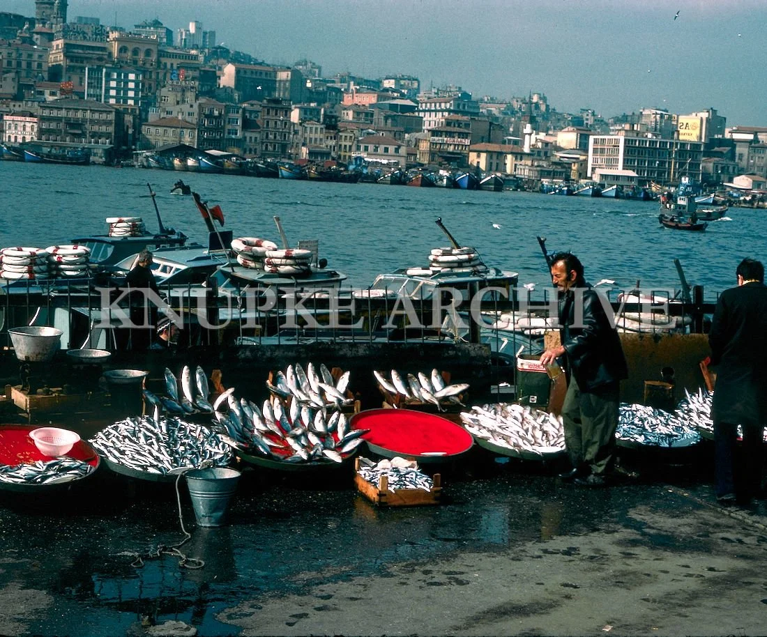 turkey2 (2).jpg