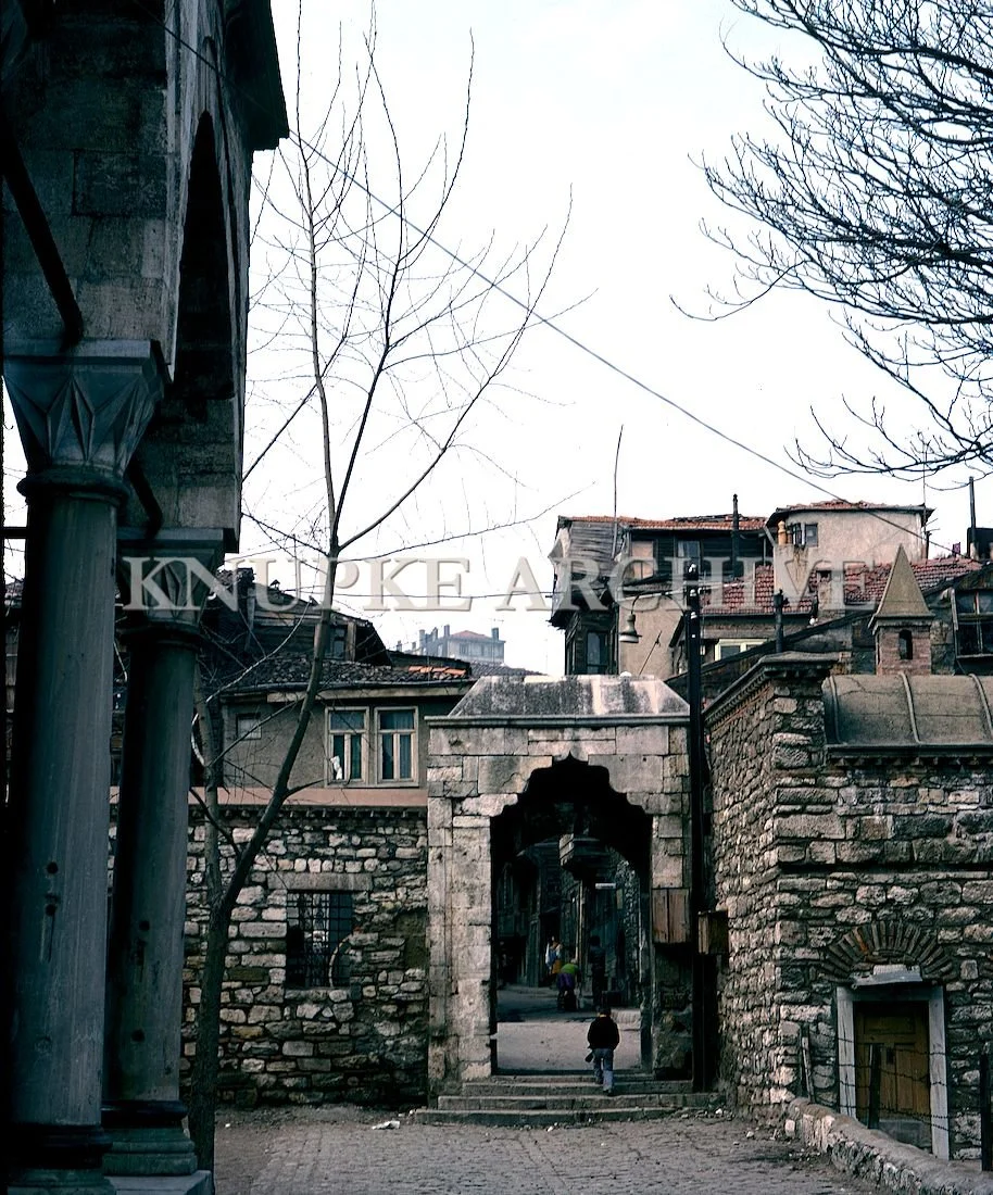 turkey2 (3).jpg