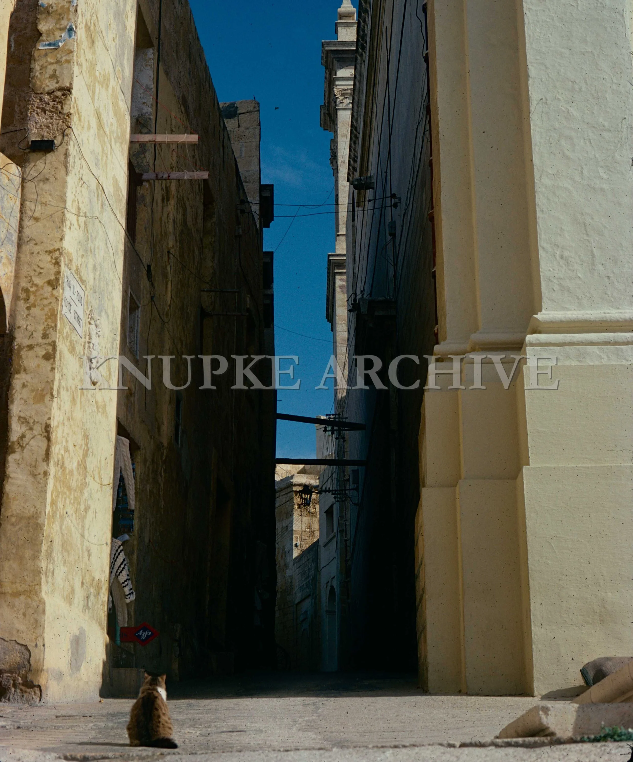 Gozo Alley Cat Print