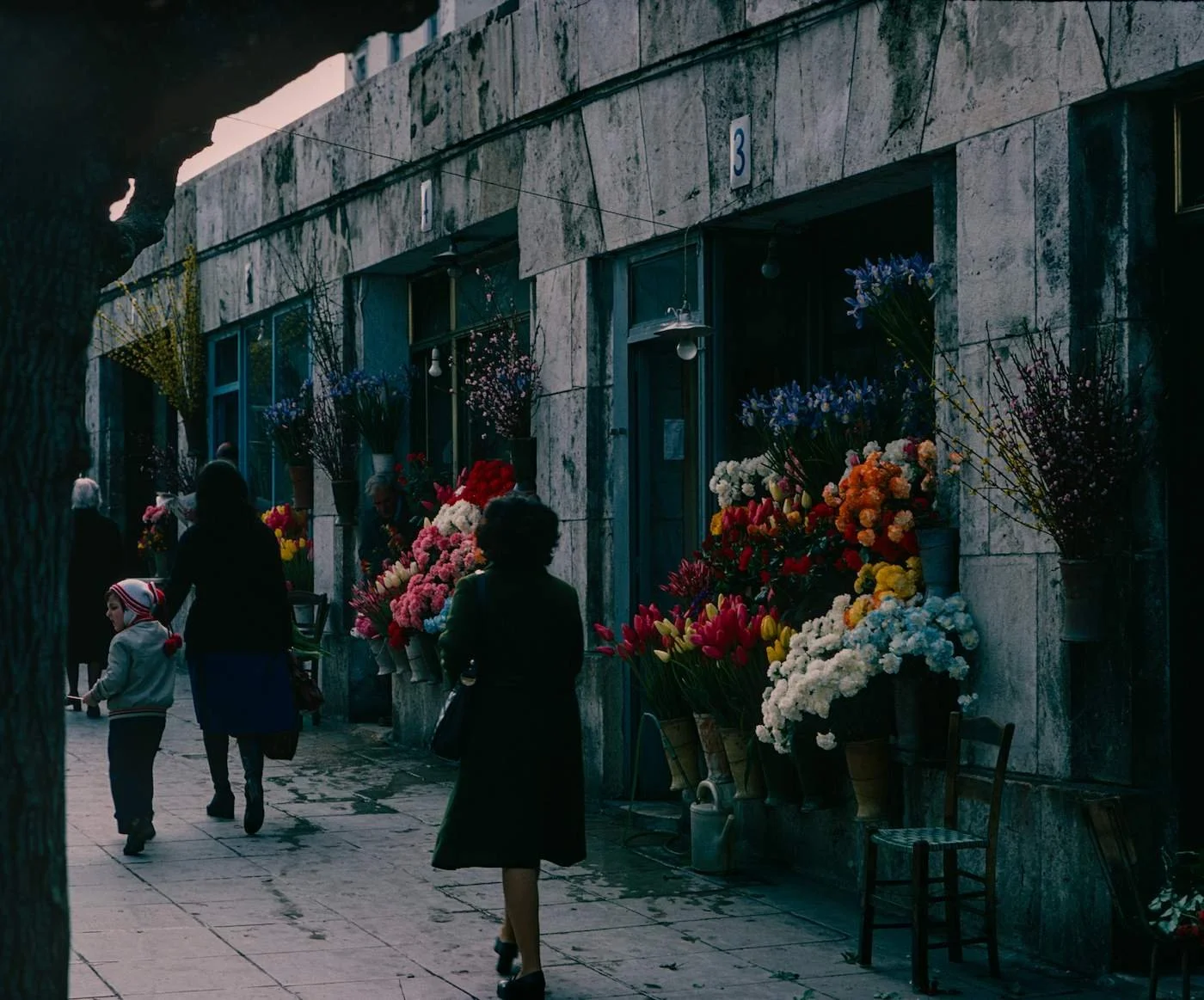 Flower Shop in Athens Print
