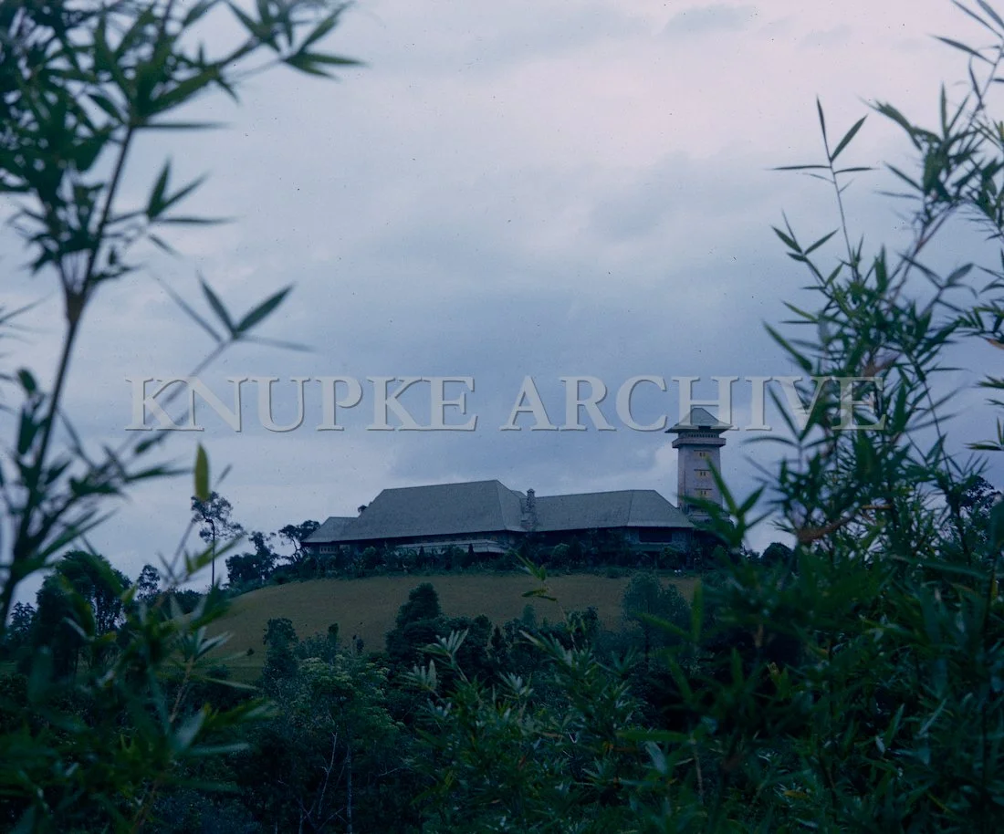 Malayan Hilltop Print