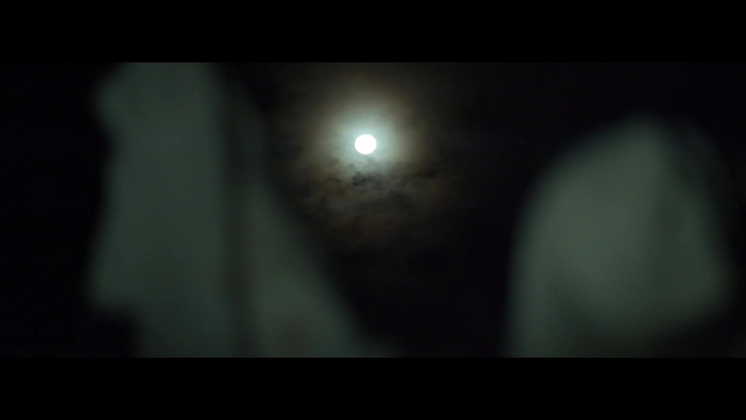 Crestfallen Preview 4K - frame at 7m31s.jpg