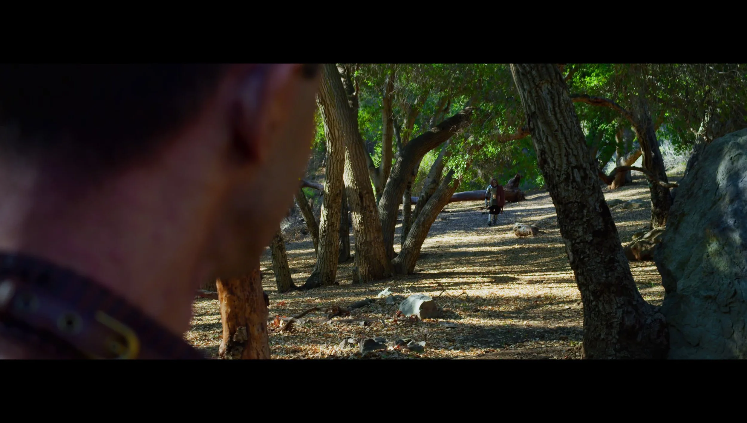 FORSAKEN (With Temp Music) - frame at 4m56s.jpg