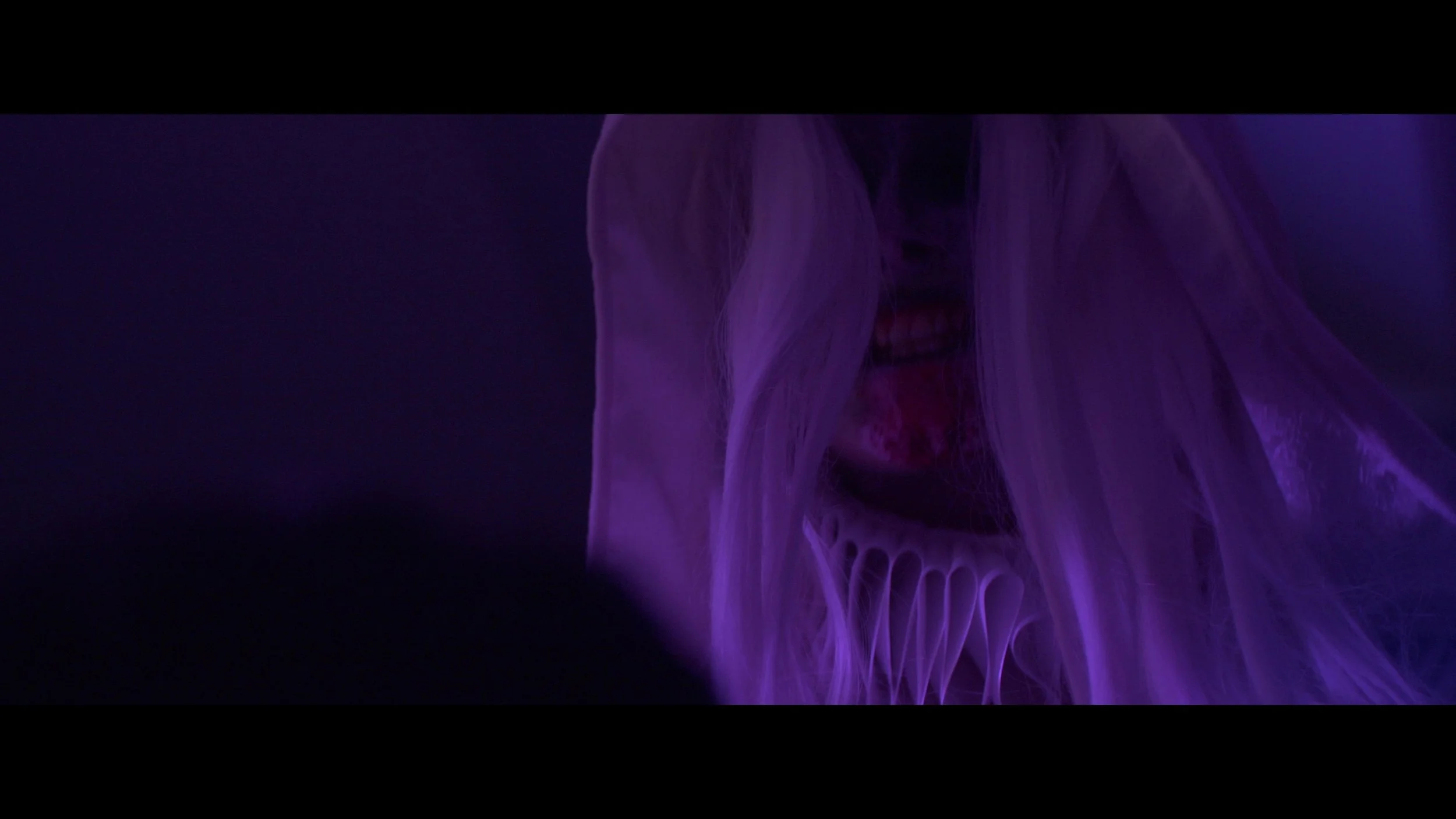 Crestfallen Preview 4K - frame at 9m5s.jpg