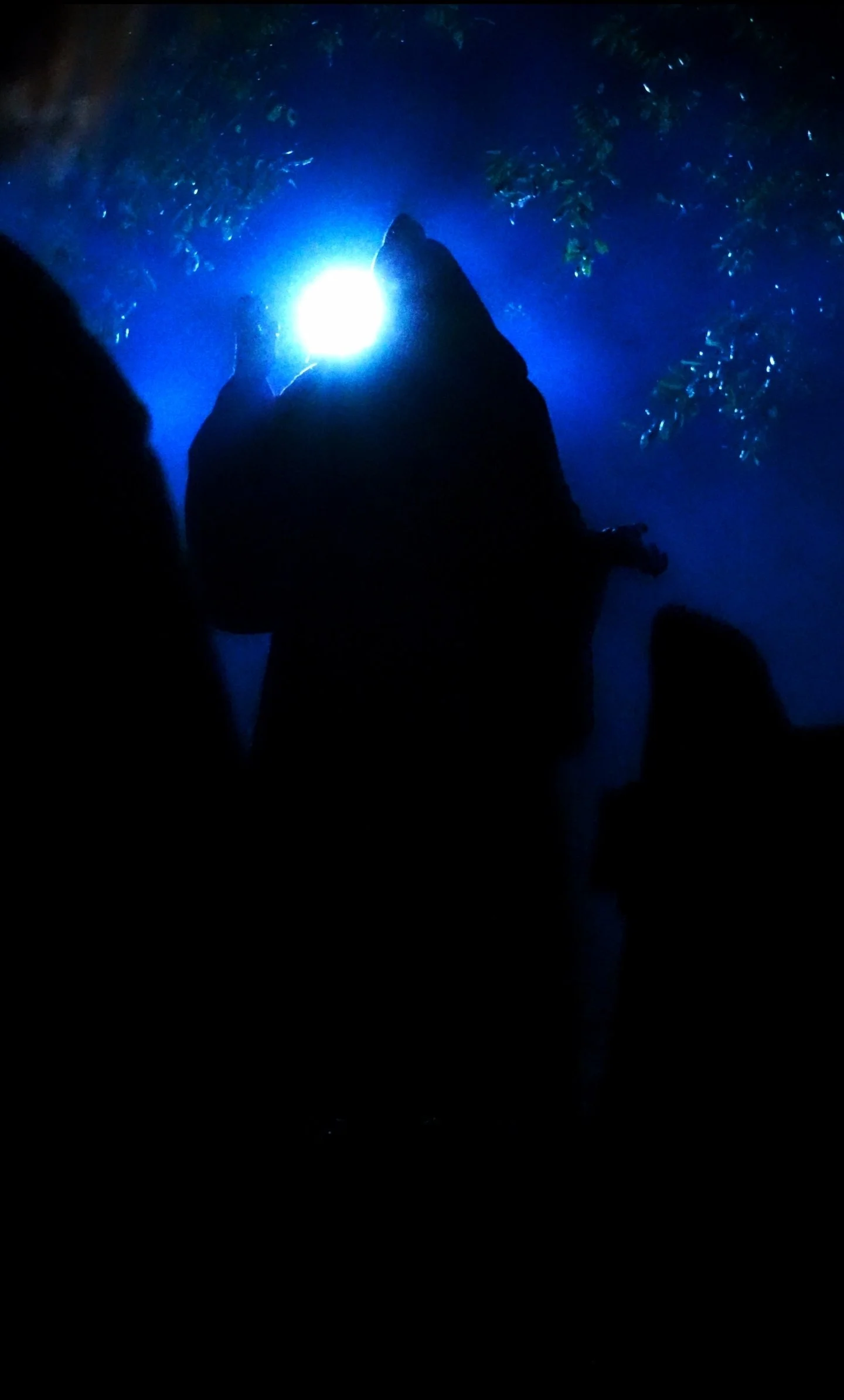 Screenshot_20261016_163643_Video Player.jpg
