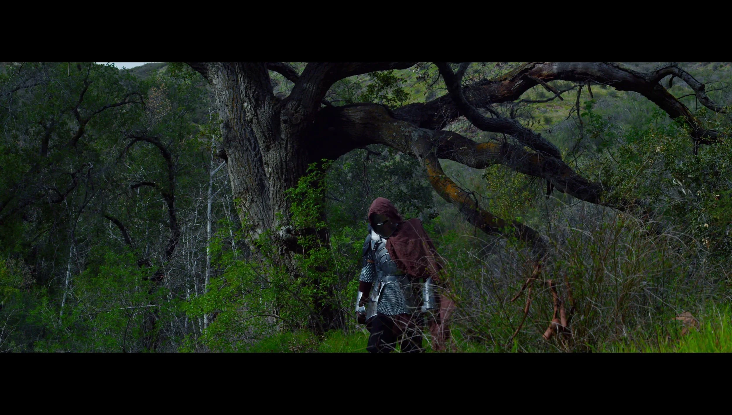 FORSAKEN (With Temp Music) - frame at 0m45s.jpg