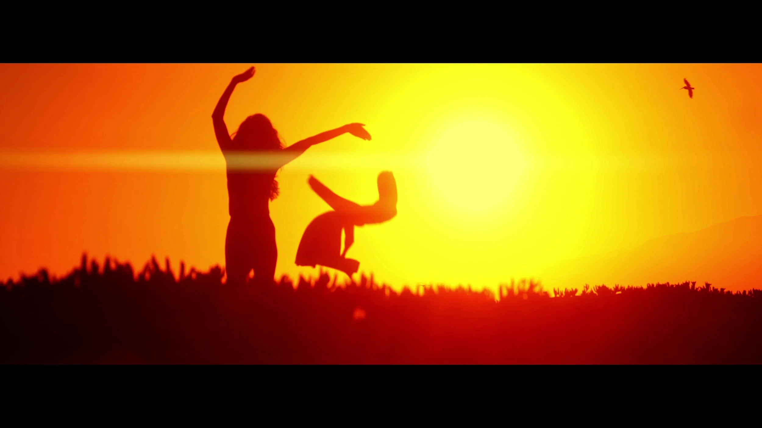 2025 Reel Preview - frame at 0m9s.jpg