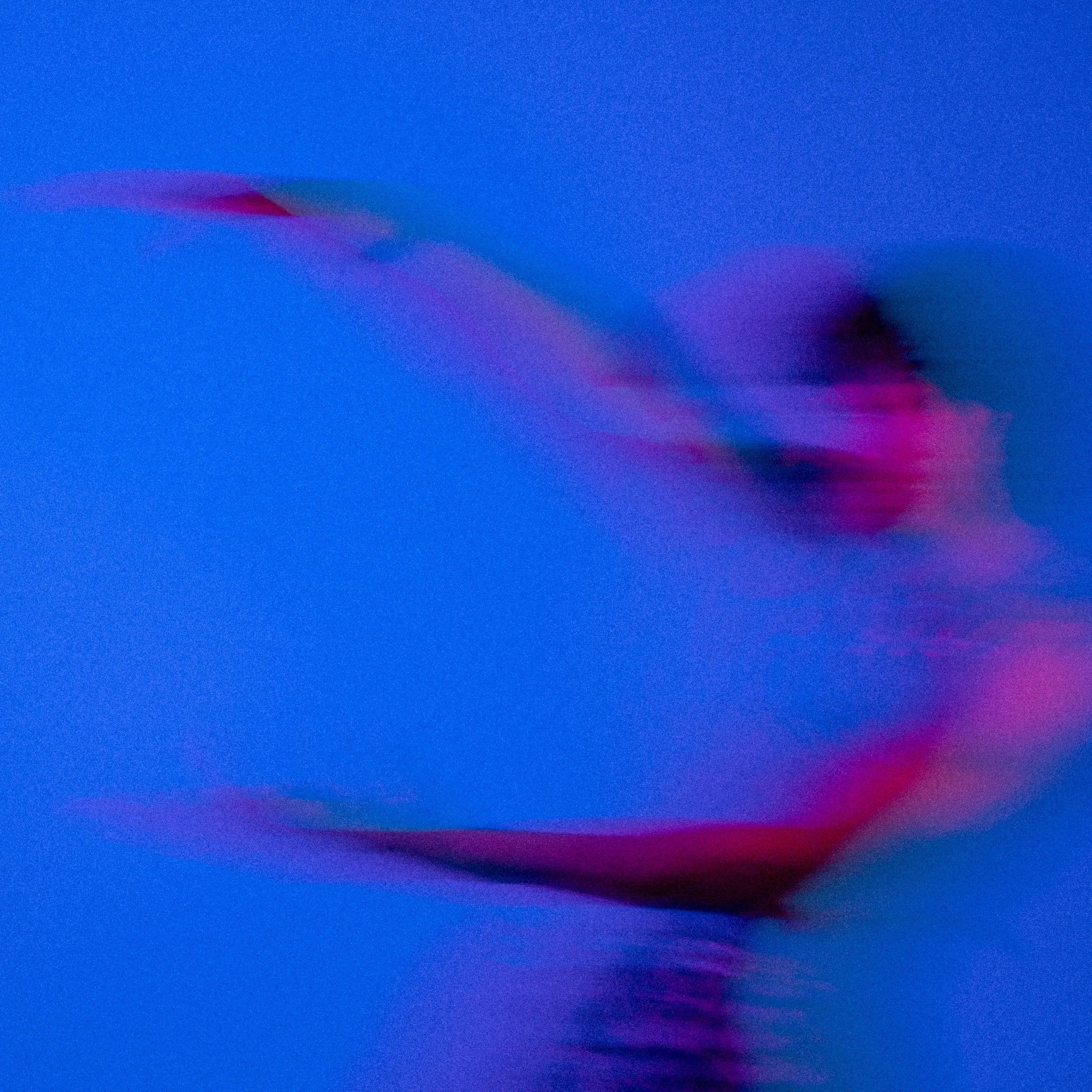 _DSC7999.jpg