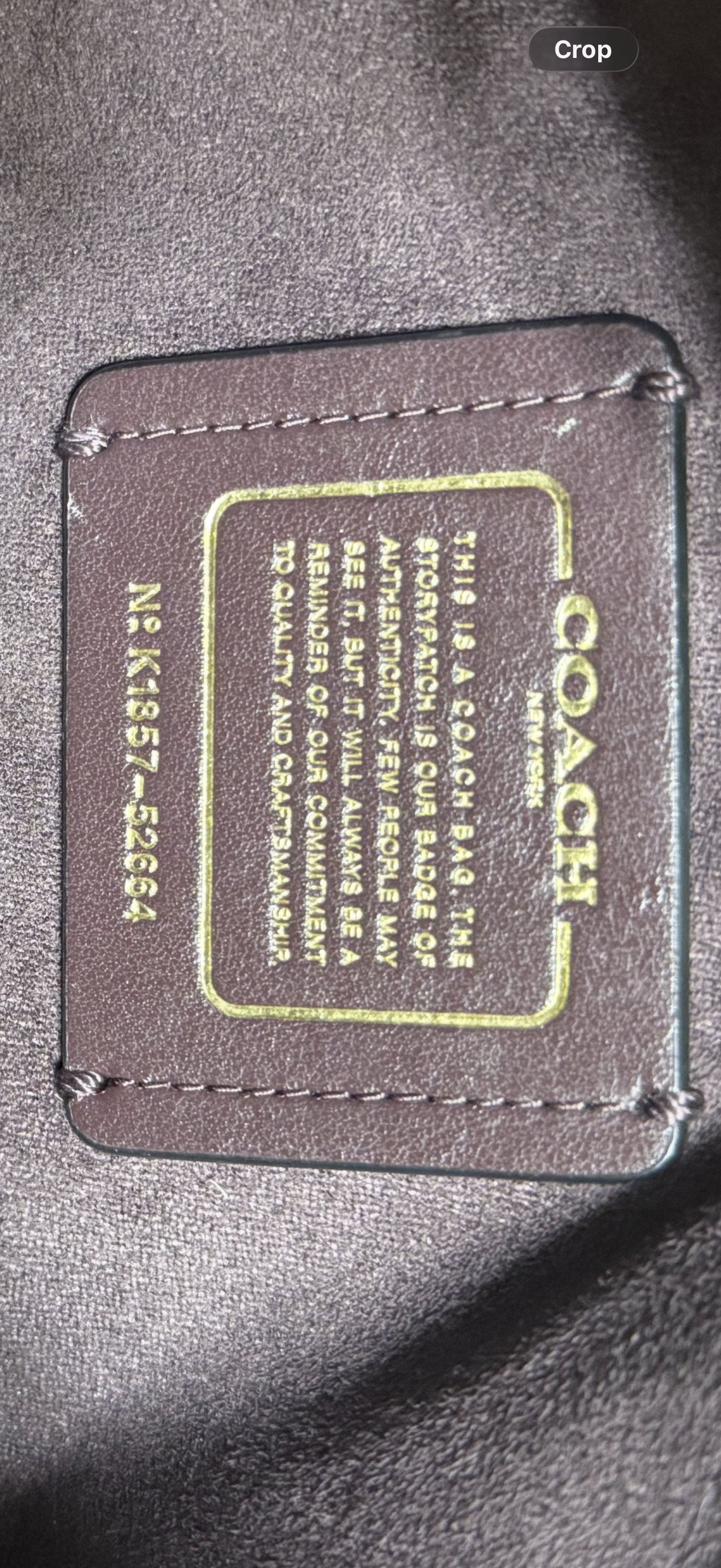 IMG_7313.png