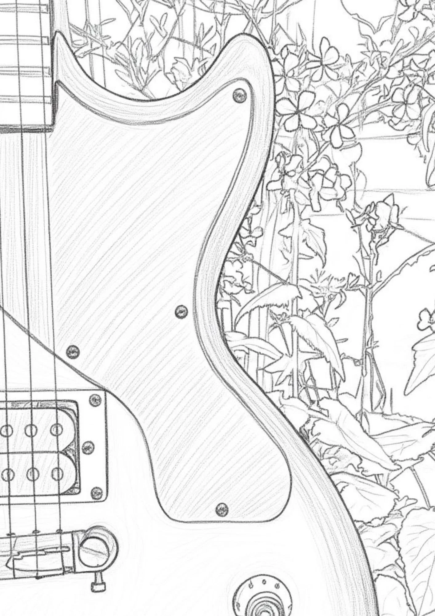 les paul junior .jpg