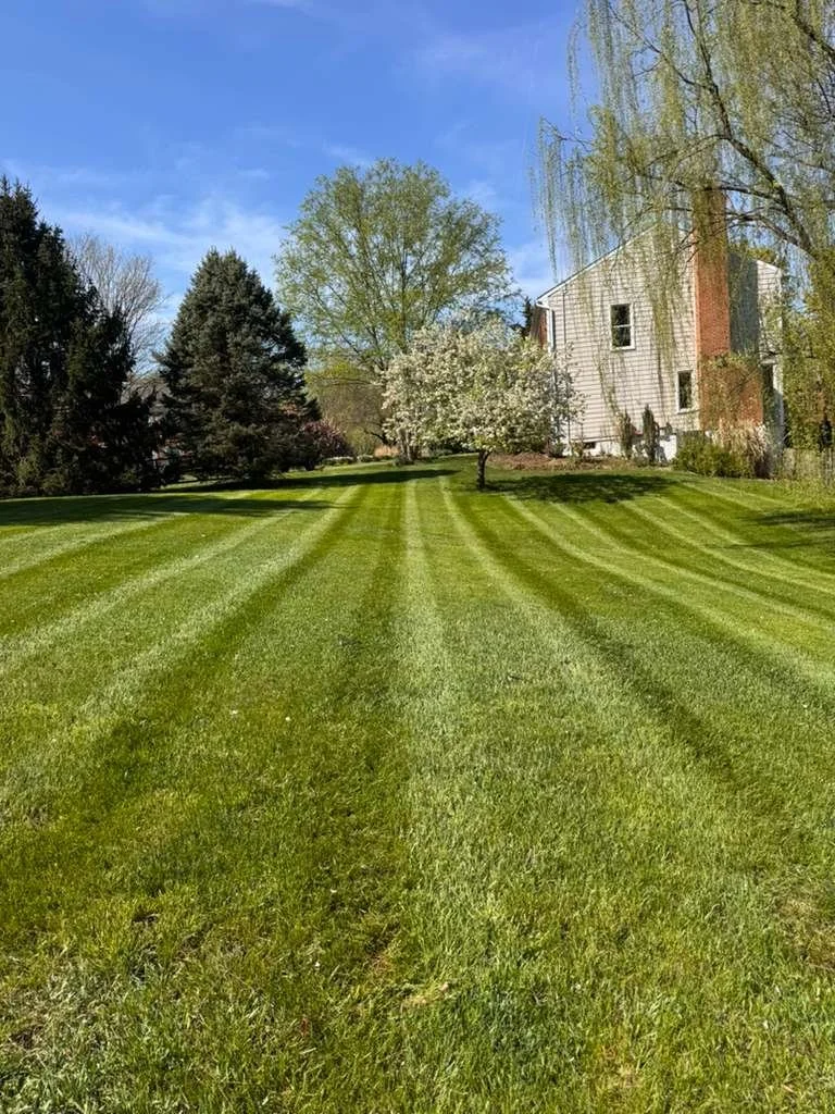 A well-maintained green lawn with striped grass, surrounded by trees and a house in the background under a blue sky.