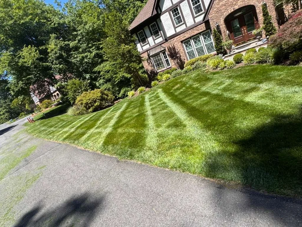 A well-maintained front yard with lush green grass, decorative bushes, and a large house with brick and half-timbered architecture, surrounded by trees.