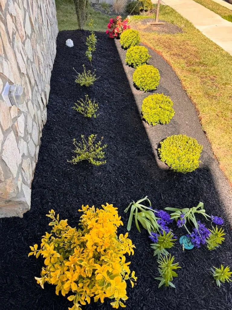 Garden bed with yellow, purple, and green flowering plants, bordered by a stone wall and a sidewalk.