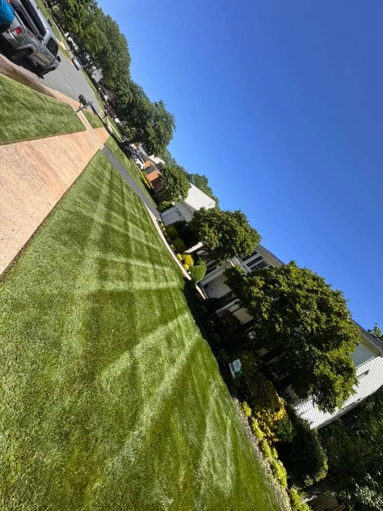 A neatly maintained front yard with a green lawn, a concrete sidewalk, and background trees, houses, and parked cars under a clear blue sky.