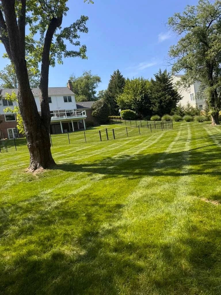 A lush green lawn with striped grass pattern, trees, and houses in the background under a clear blue sky.
